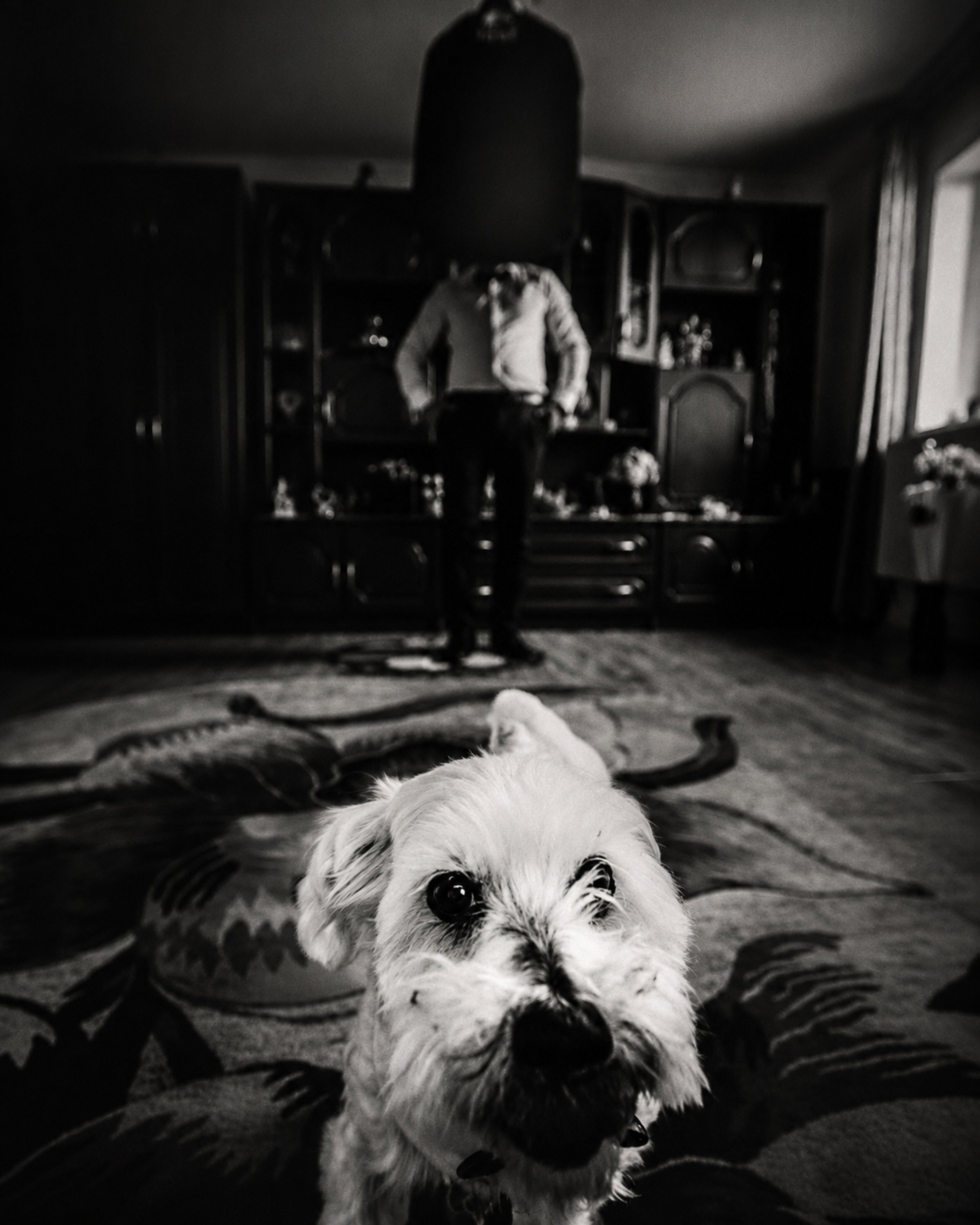 Wedding Stories. MCrisStudio
