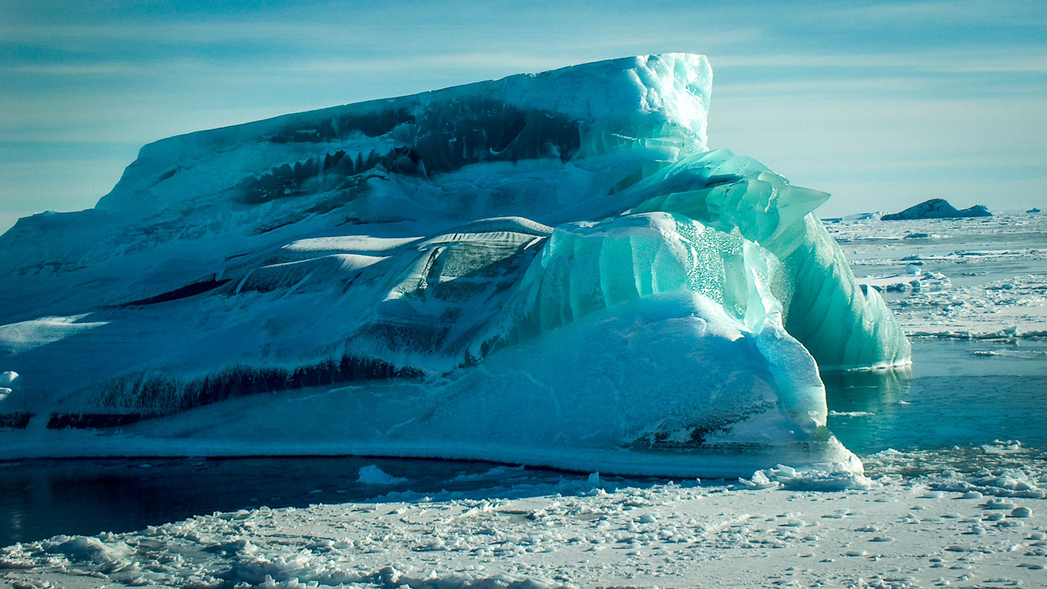 ANTARCTICA / 2004. Reportage concert portrait photography in the San Francisco Bay Area