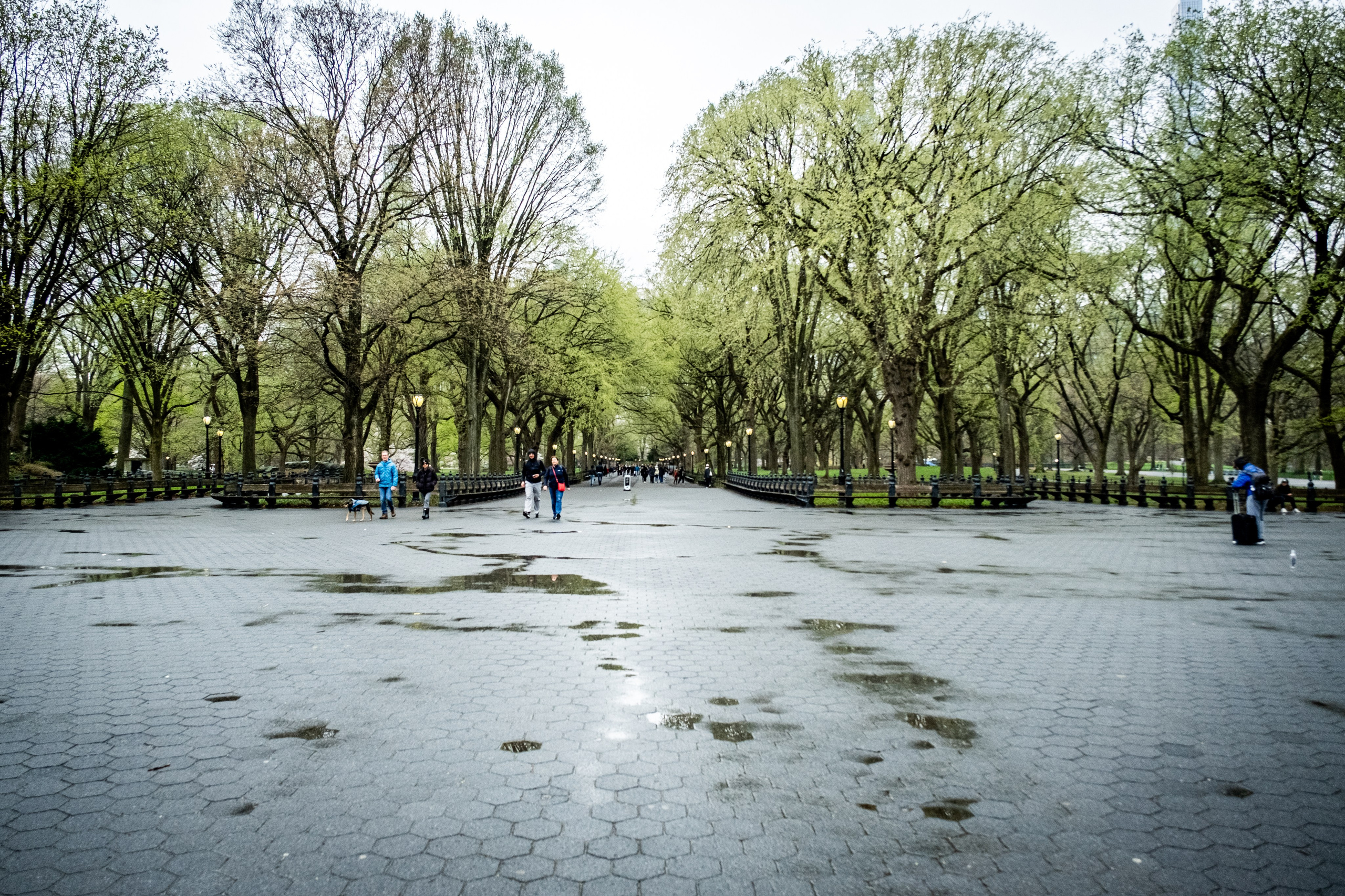NEW YORK / 2025. Reportage concert portrait photography in the San Francisco Bay Area