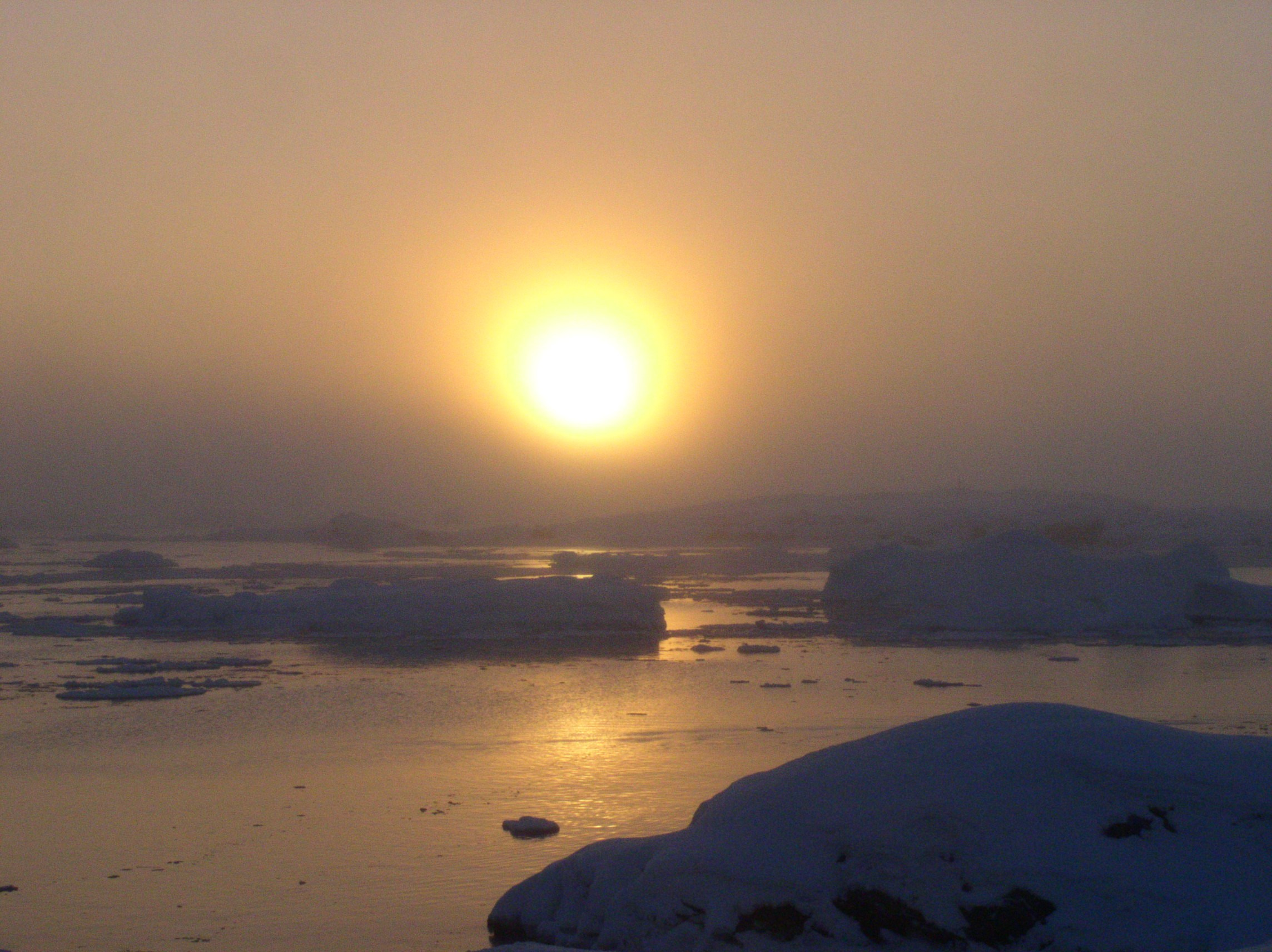 ANTARCTICA. Reportage concert portrait photography in the San Francisco Bay Area