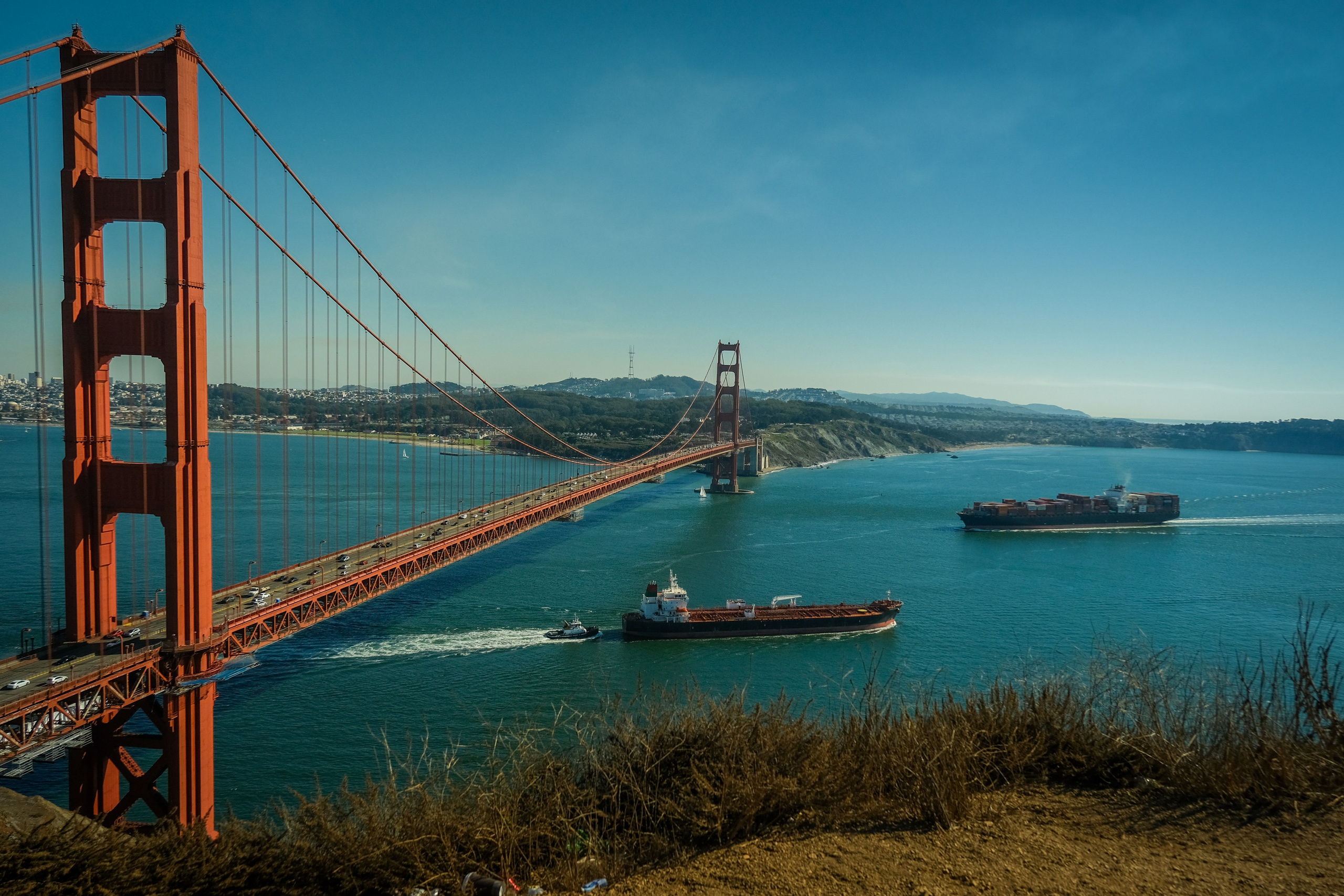 BLUE ANGEL. Reportage concert portrait photography in the San Francisco Bay Area