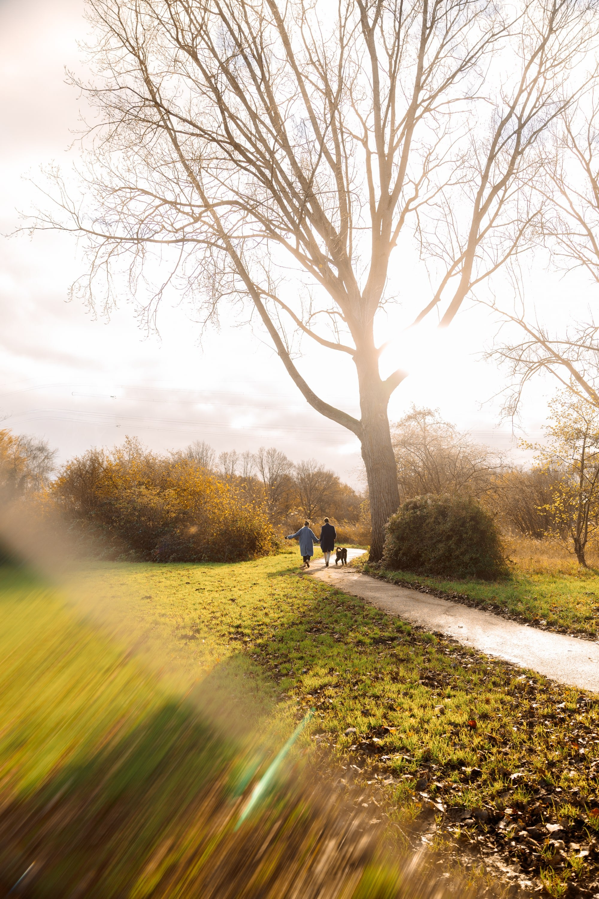 Pet Photoshoot in Spijkenisse | Rotterdam. Romantic & Soulful Photography by Natalia Olhova in Rotterdam