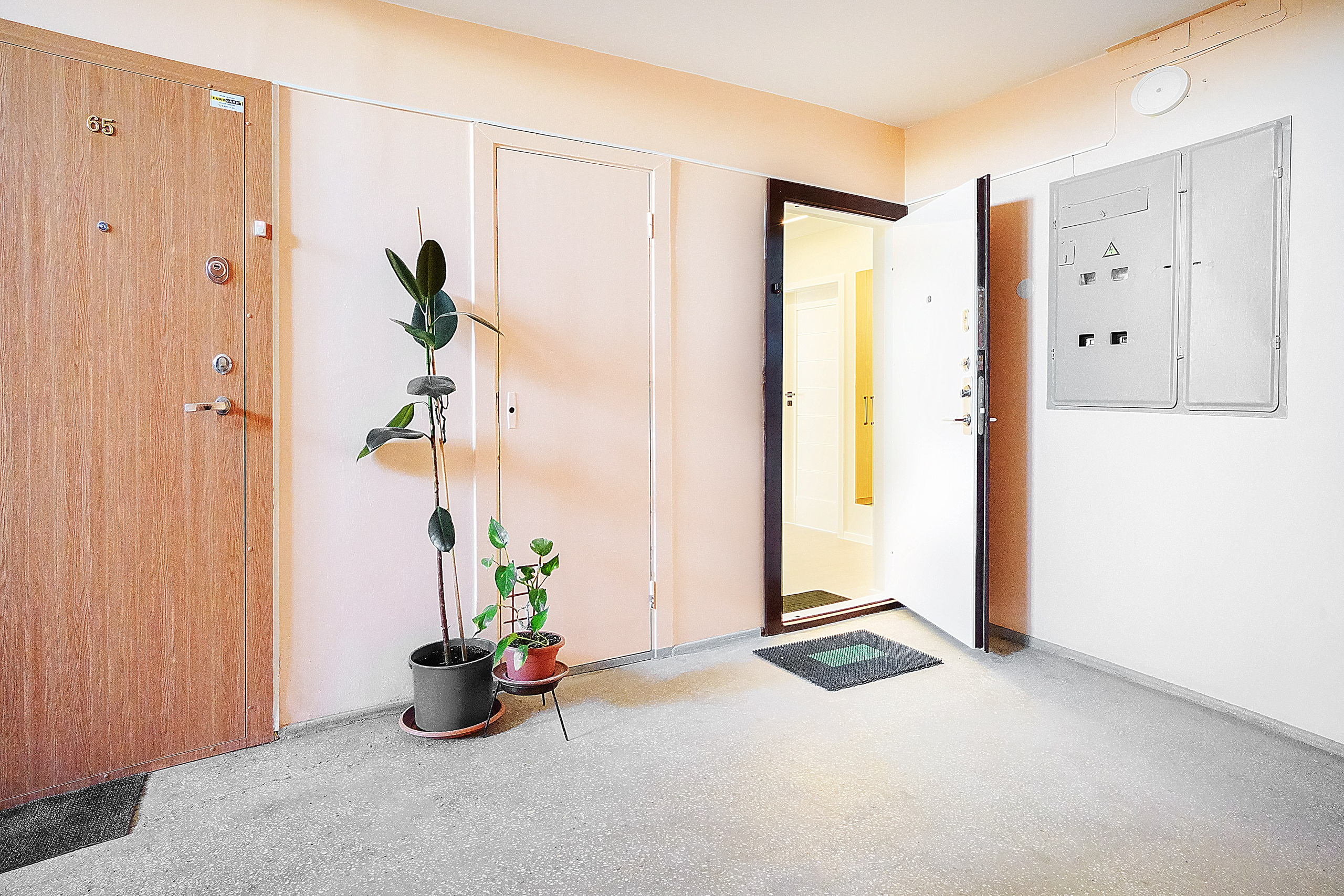 Gelvonų g. 50. Elina Sapiega fotografė Vilniuje