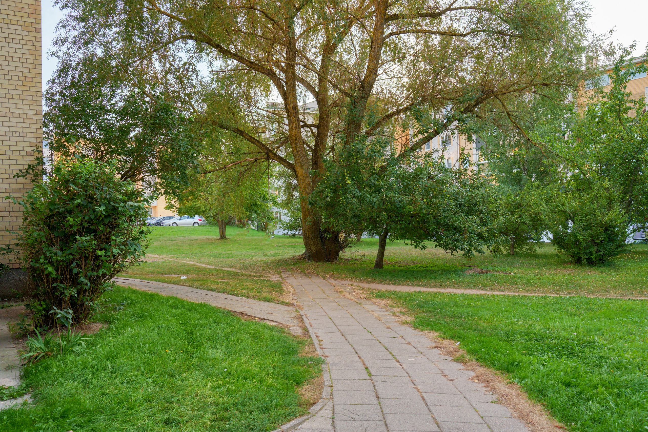 Linksmuoji g.49. Elina Sapiega fotografė Vilniuje