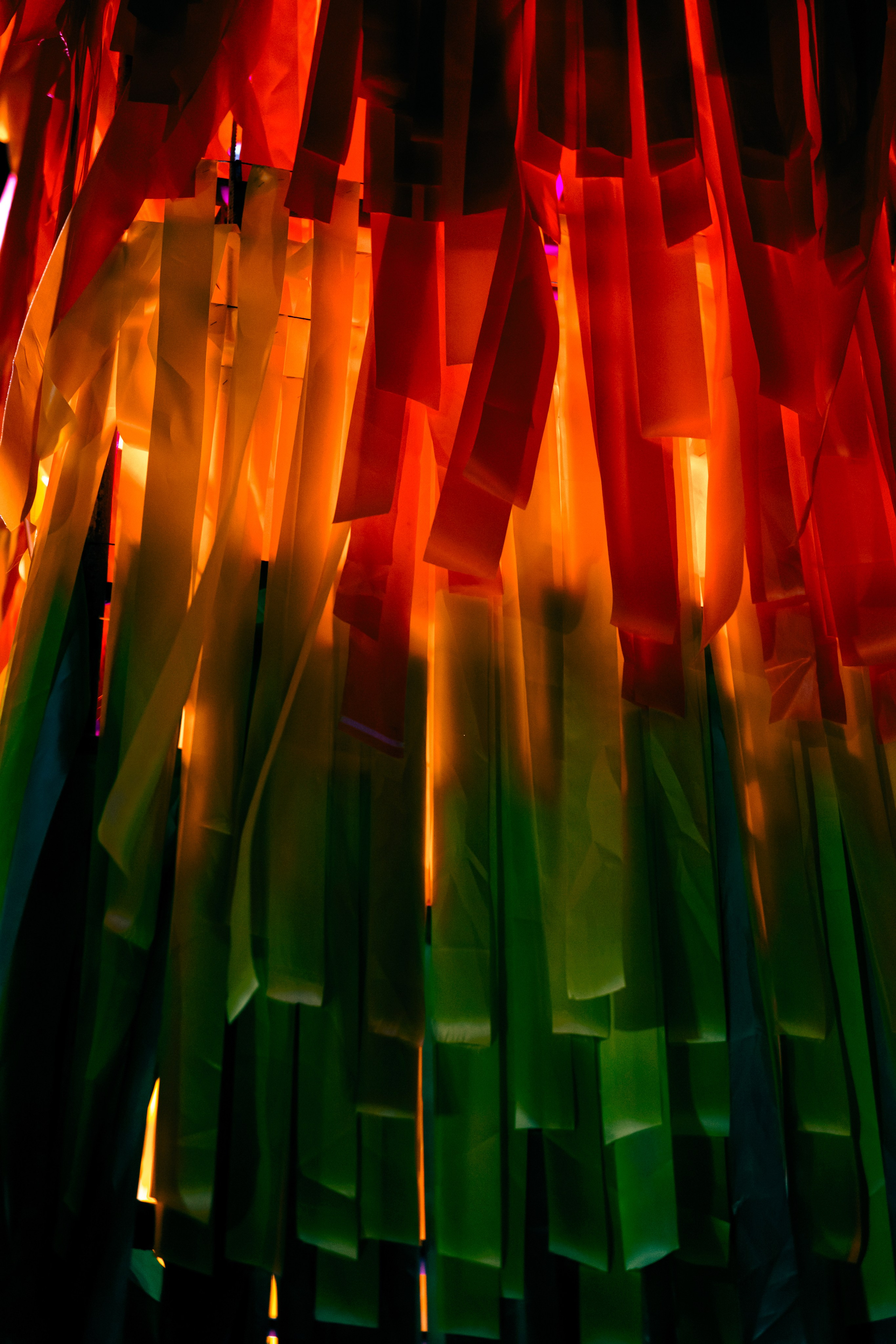 Pride Party. Graytail Photo