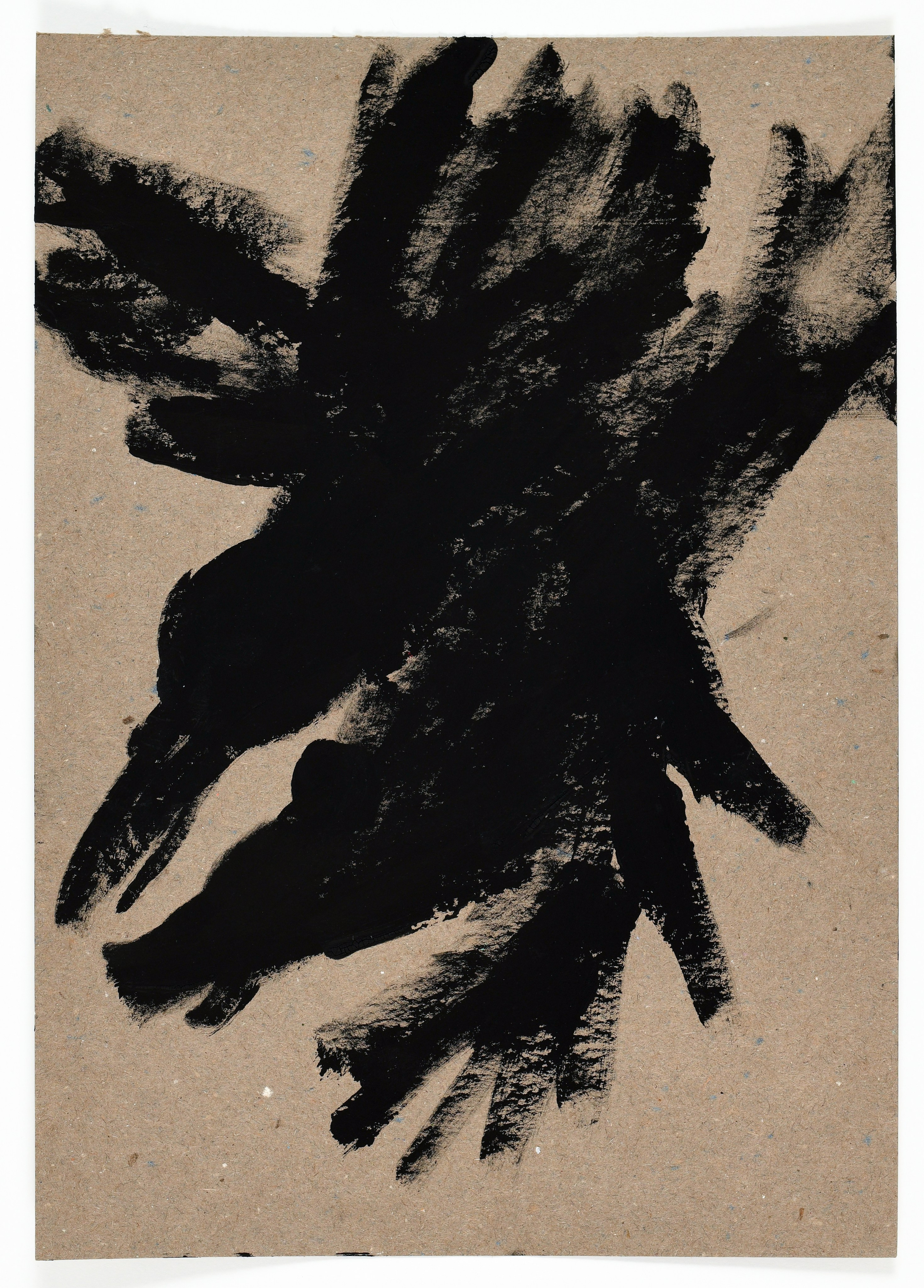 Birds and rats, 2020. Haim Sokol’s artists website