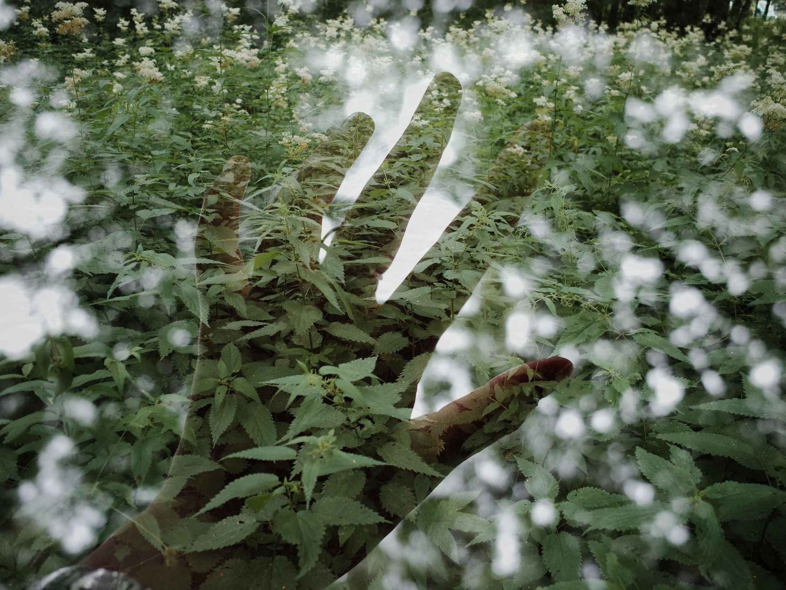 Demeter Dreams. Victoria Dini. Art photography in London / Folkestone, UK