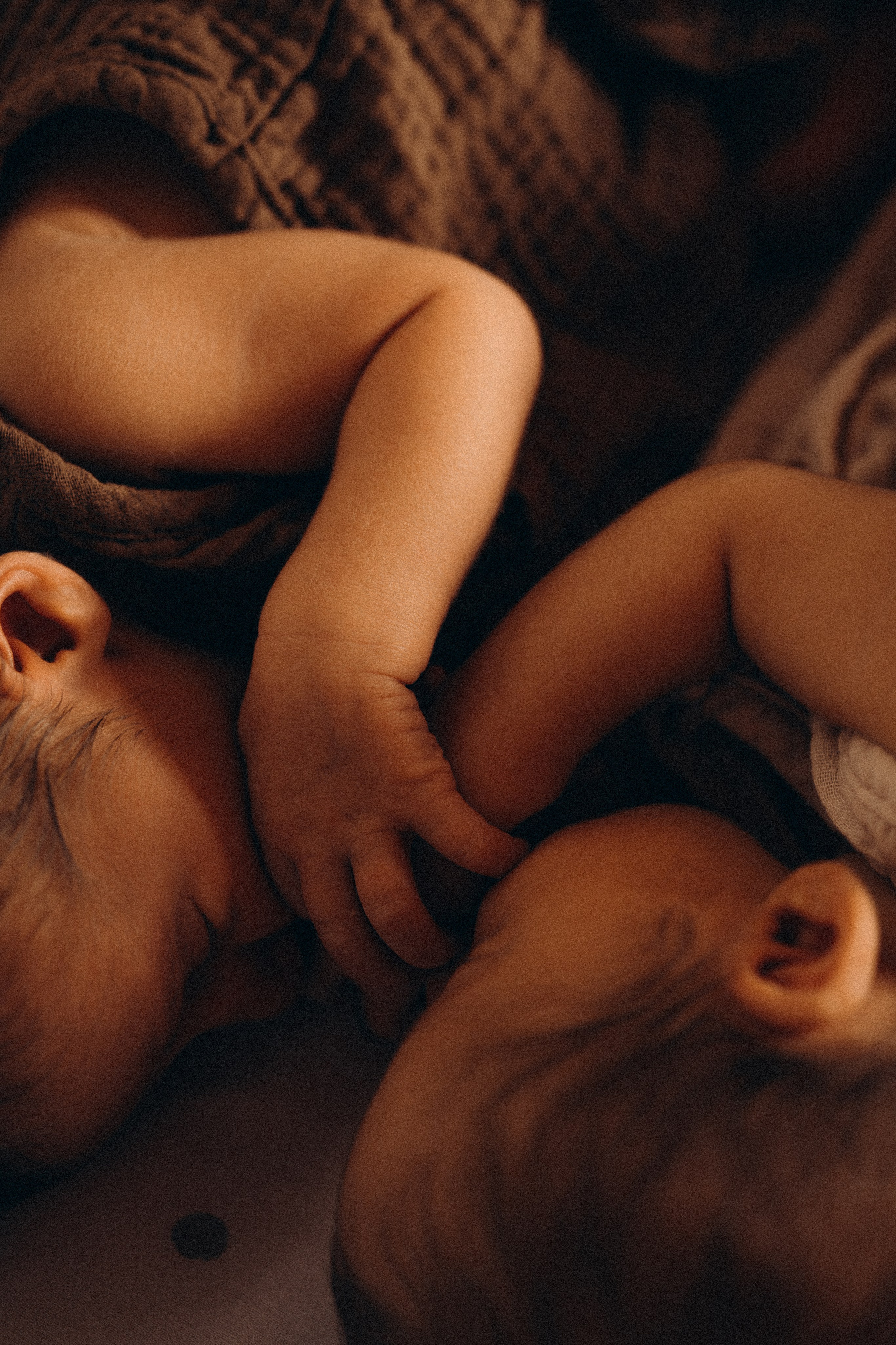 Soft and cozy newborn photography in Madeira