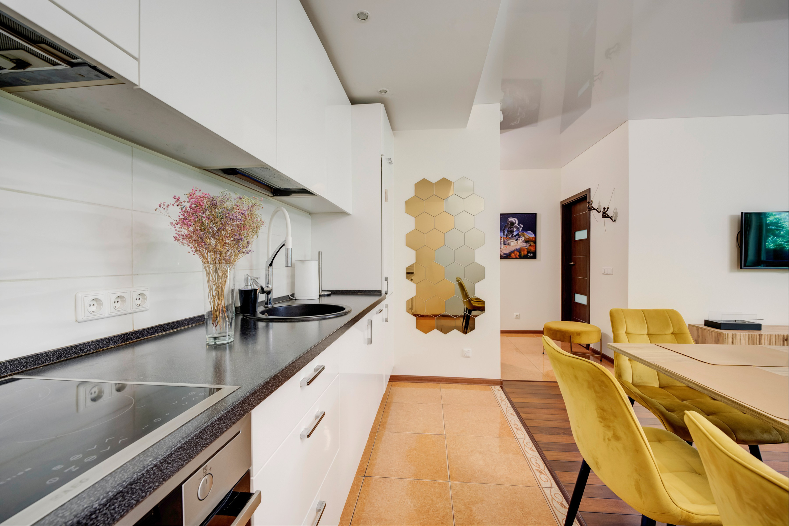 Mokslininkų g. 7. Elina Sapiega fotografė Vilniuje