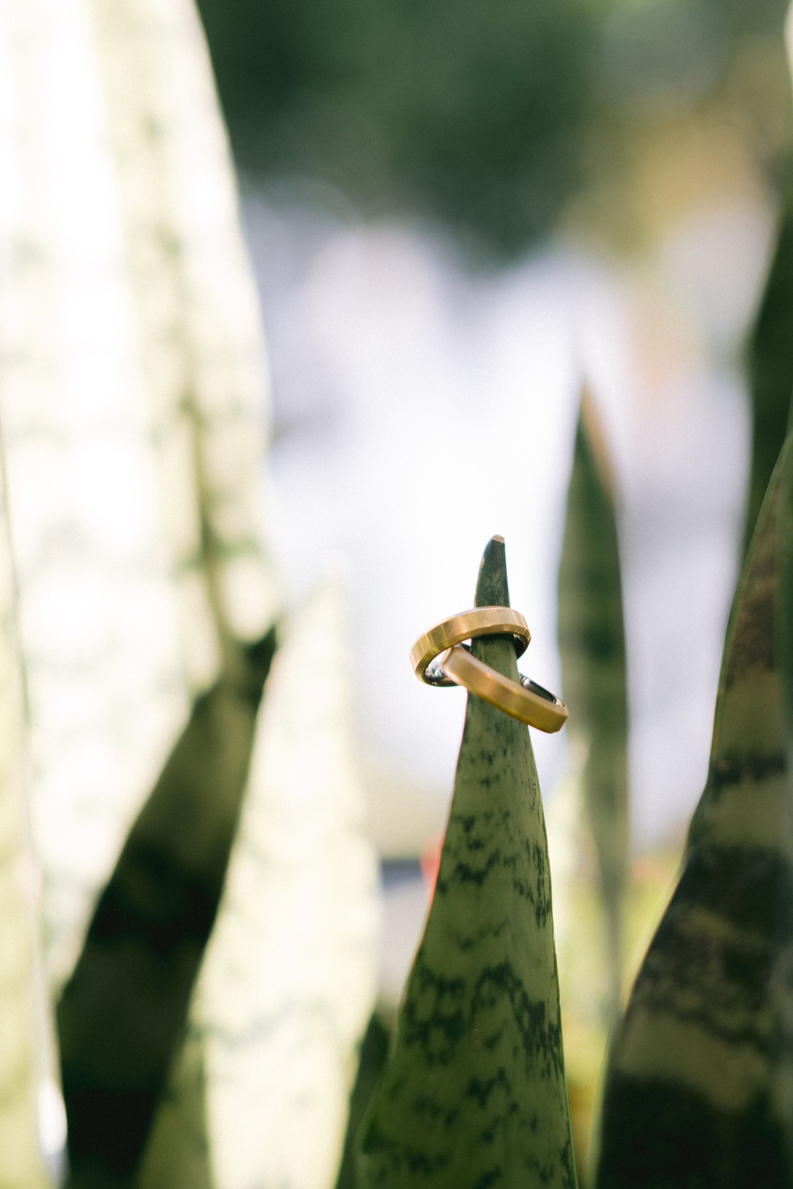 Leandro & Ketllin | Casamento. Junior Ribeiro Fotografia