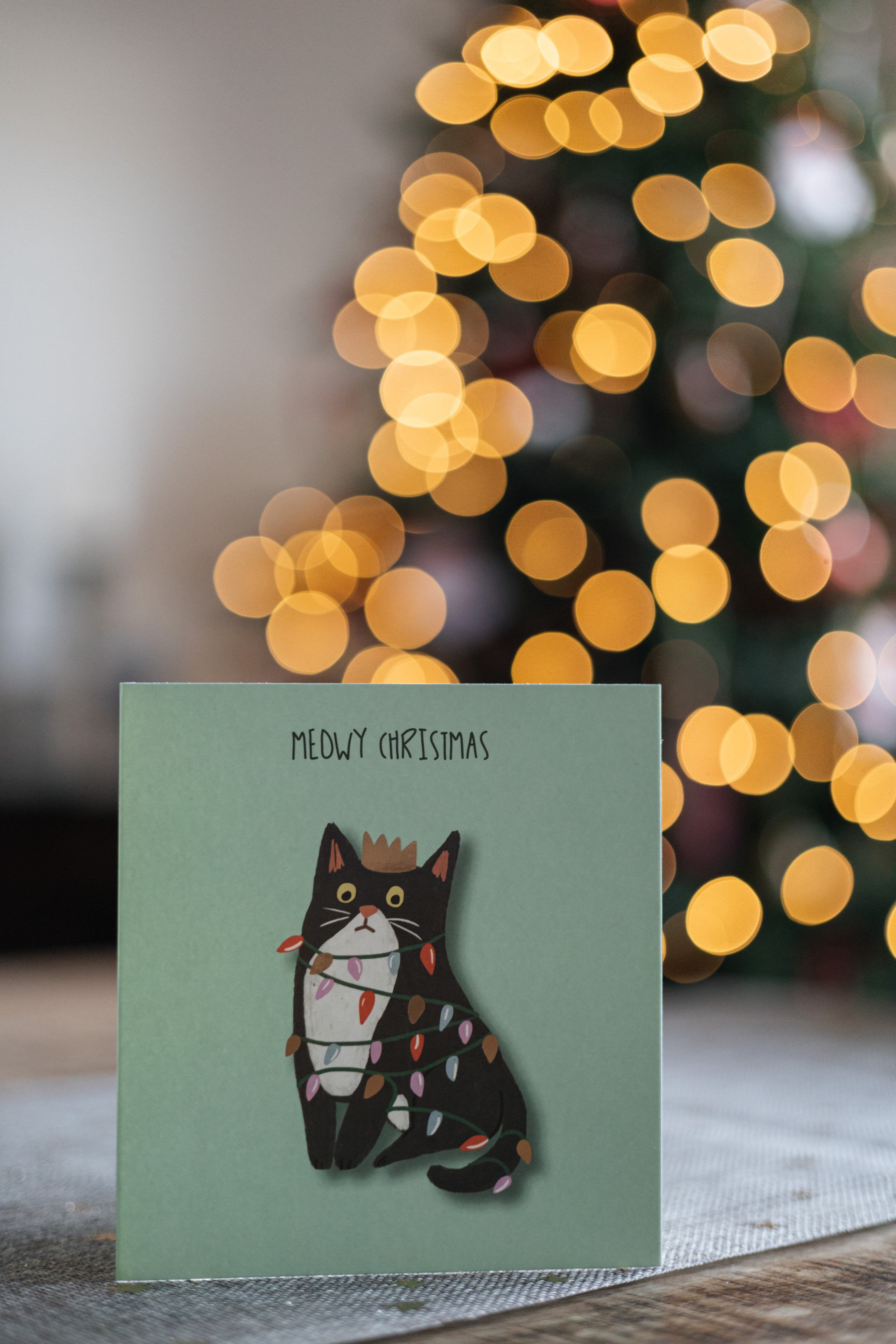 Christmas engagement. Mayya Makarova Photography | Family Photographer Abu Dhabi