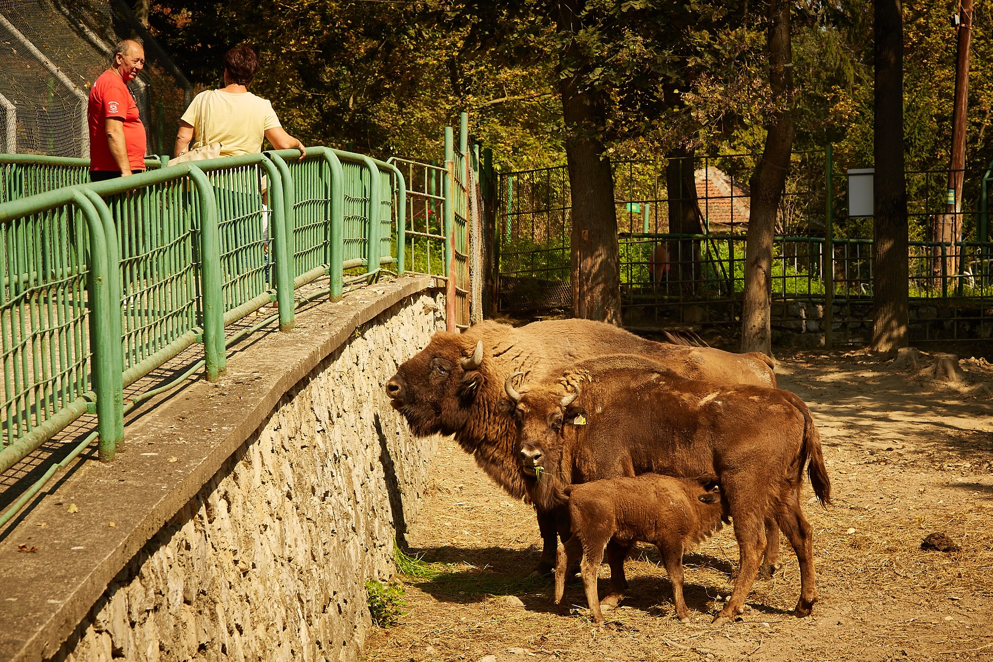 Reșița, jud. Caraș-Severin. Pagina principală