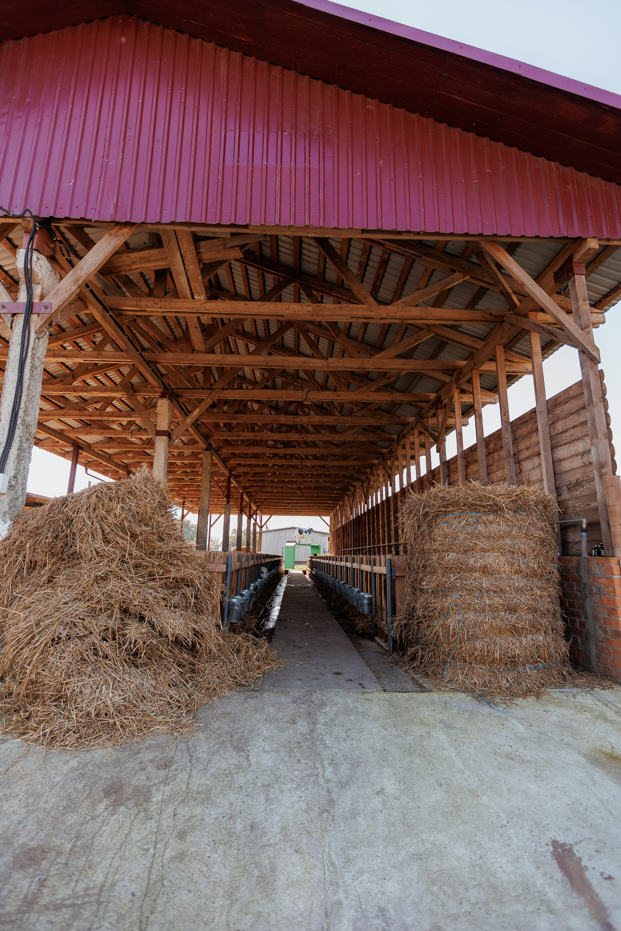 Екопарк Аміла. Ірина Терещук