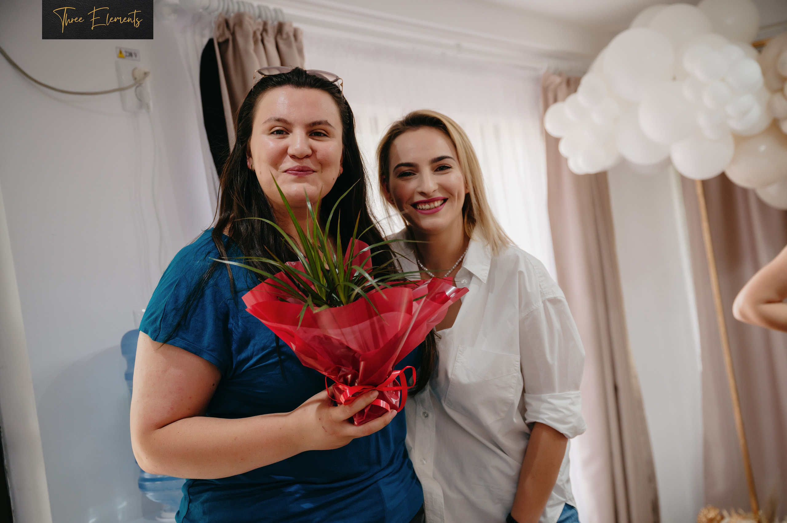 Three Elements. Laurentiu Stefan StoryTeller