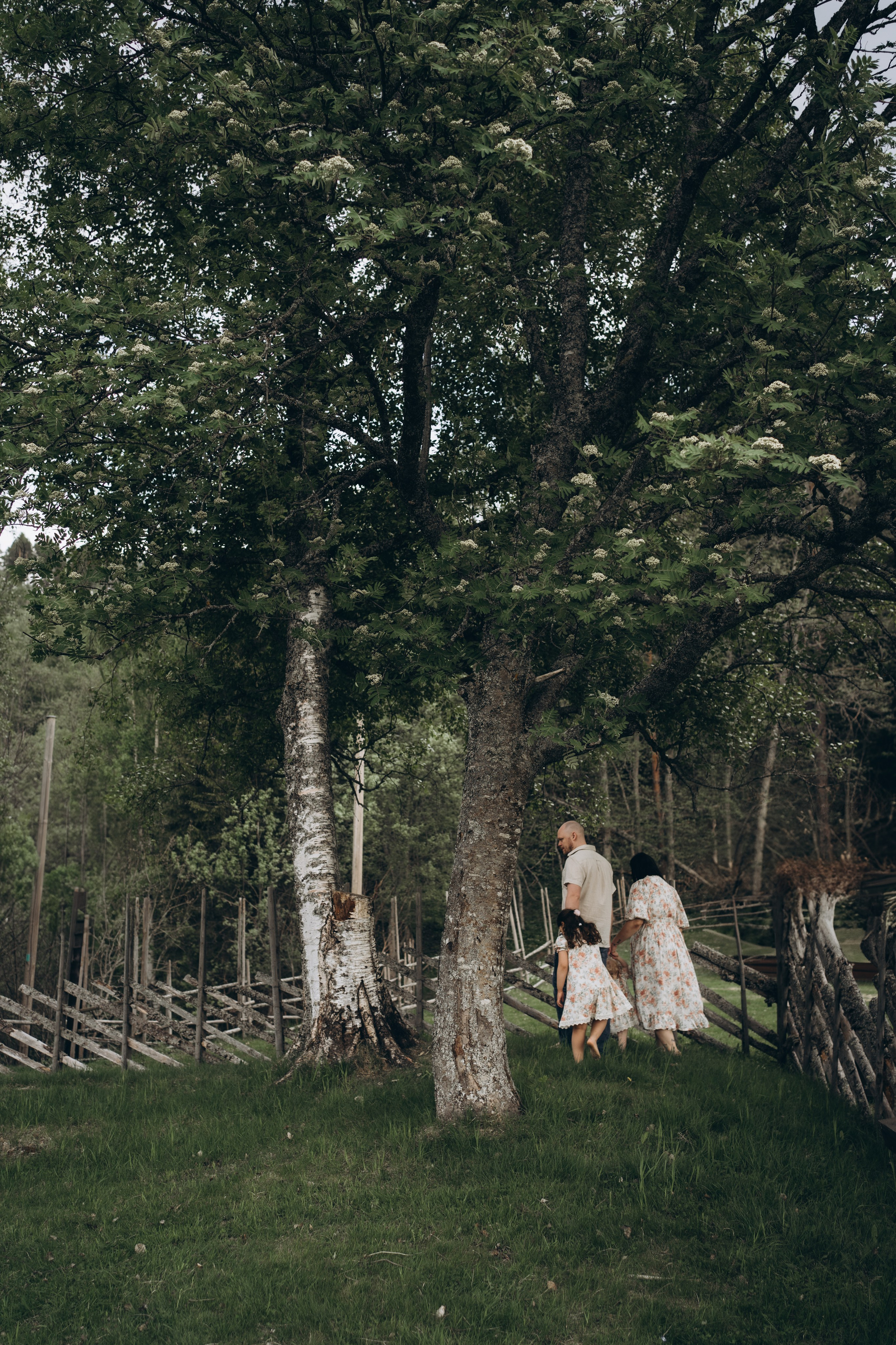 FAMILY BRULAND. Photographer and videographer in Norway and Slovakia Andrea Zemko