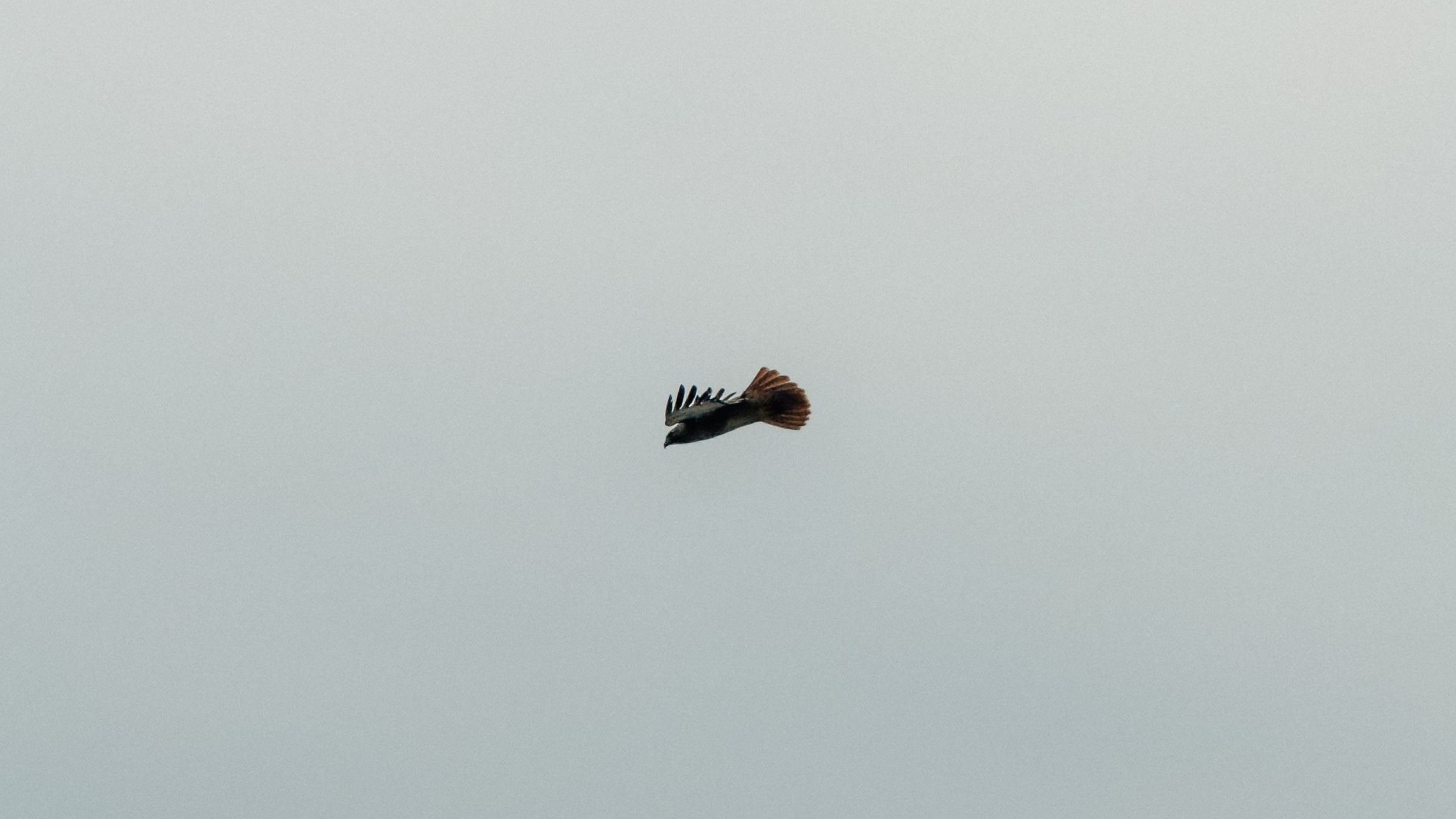 Los Angeles. Aleks.photo | Book a photoshoot