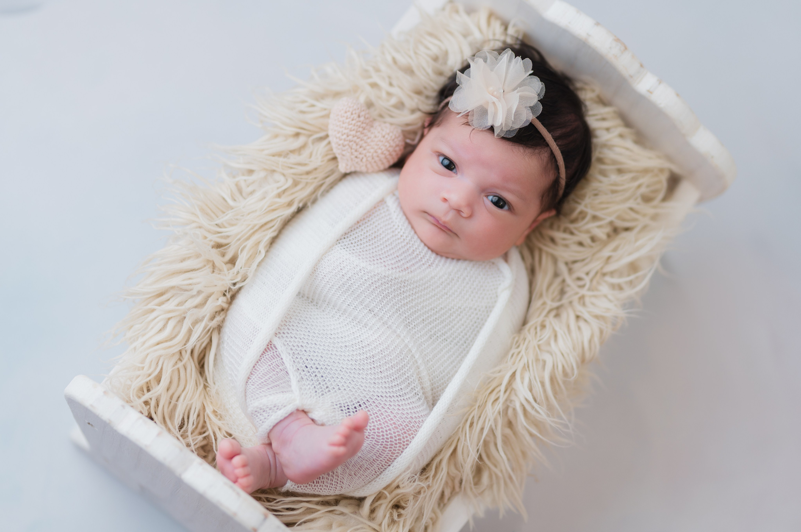 Acompanhamentos. Fotografamos famílias, gestantes, bebês e ensaios individuais