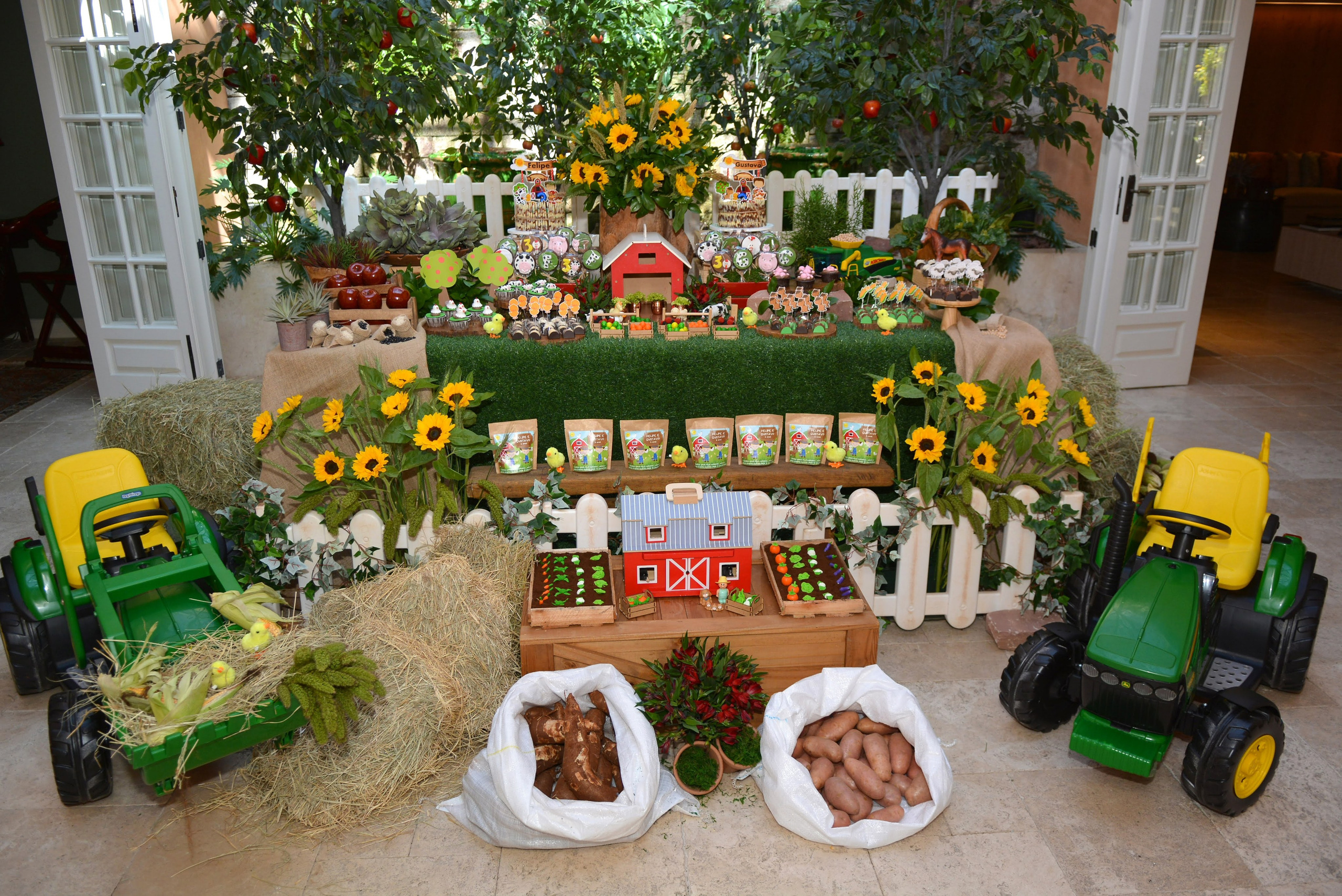 Felipe e Gustavo — 3 Anos. Rbfotoevideo