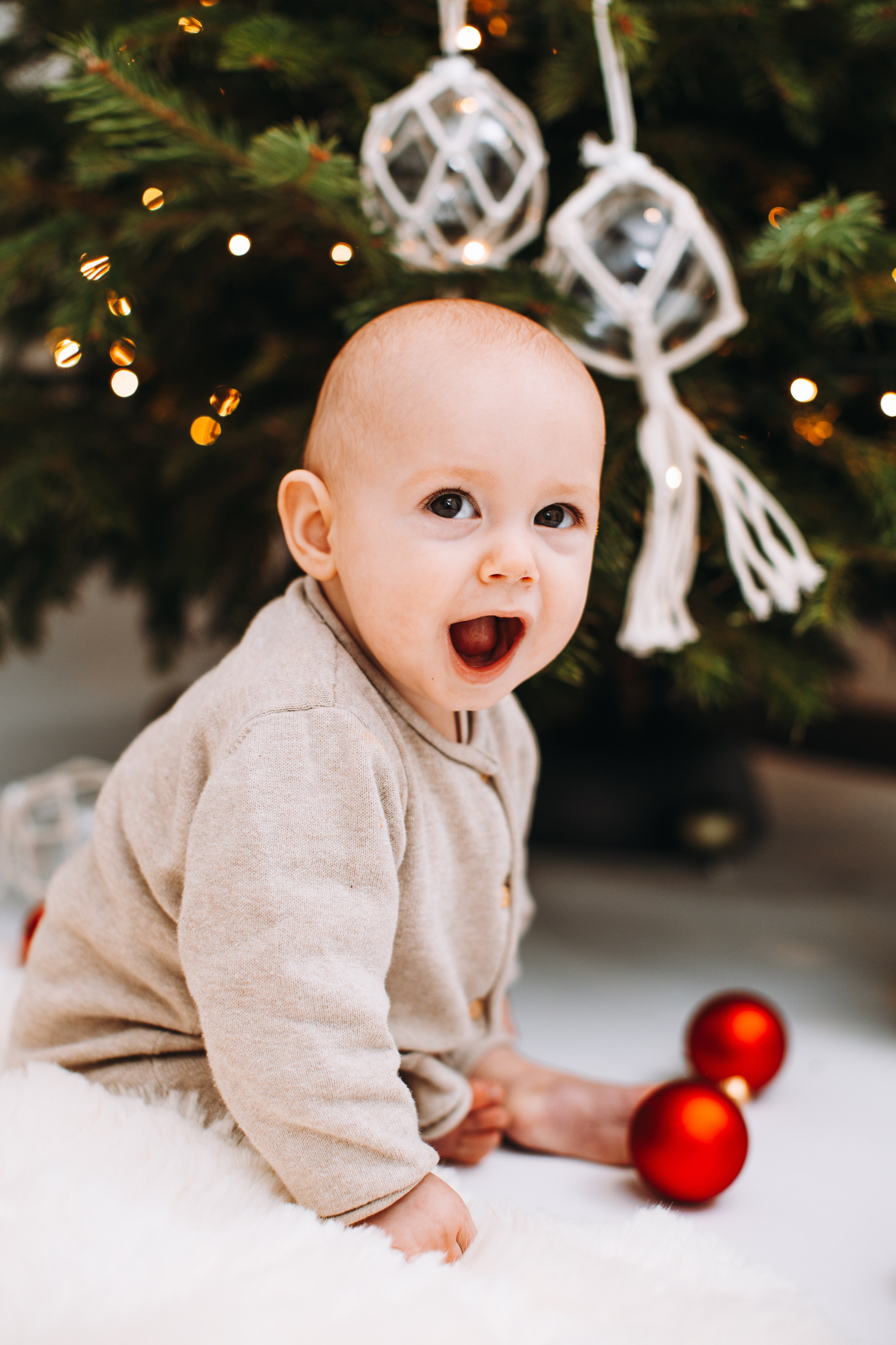 Weihnachtsshooting. Dienstleistungen