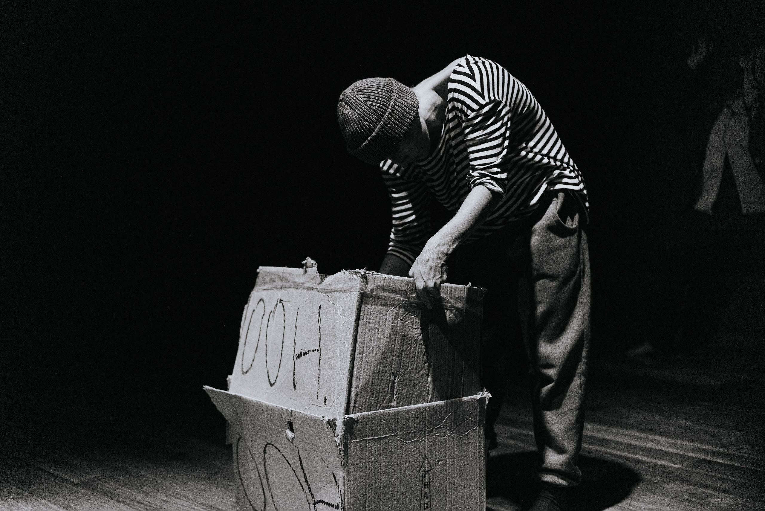 Анонс. Полковник и птицы. Фотограф @elmirkami в городе Буэнос-Айрес