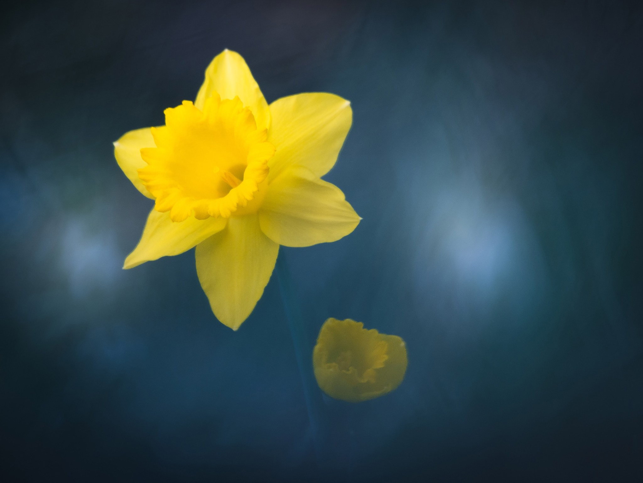 Intimate Landscapes. Nature Photographer and Videographer from Germany
