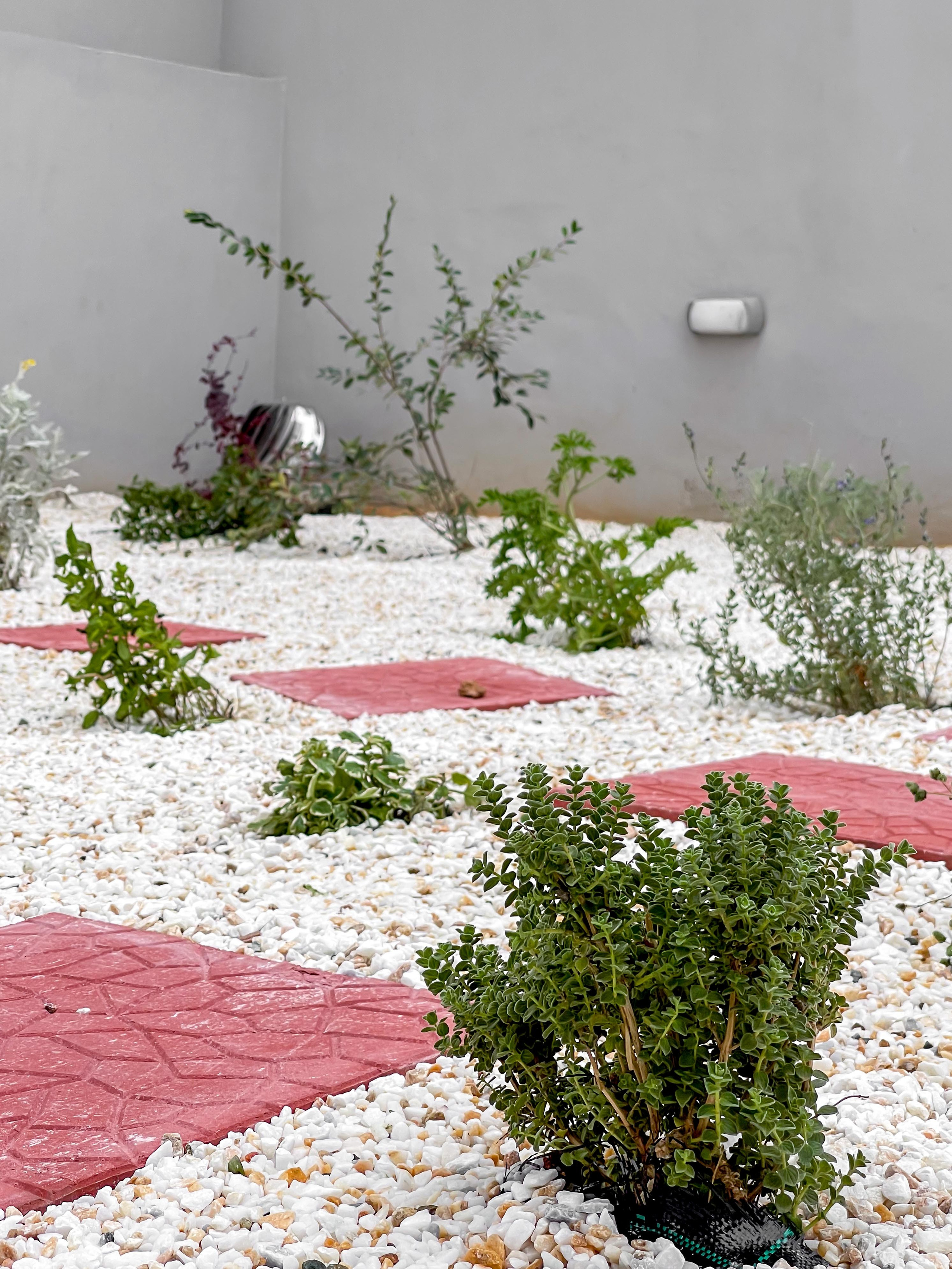 Κήπος Περιστέρι. Geoponitikon-Όταν η Επιστήμη συναντά την Τέχνη στο Φυσικό Τοπίο!