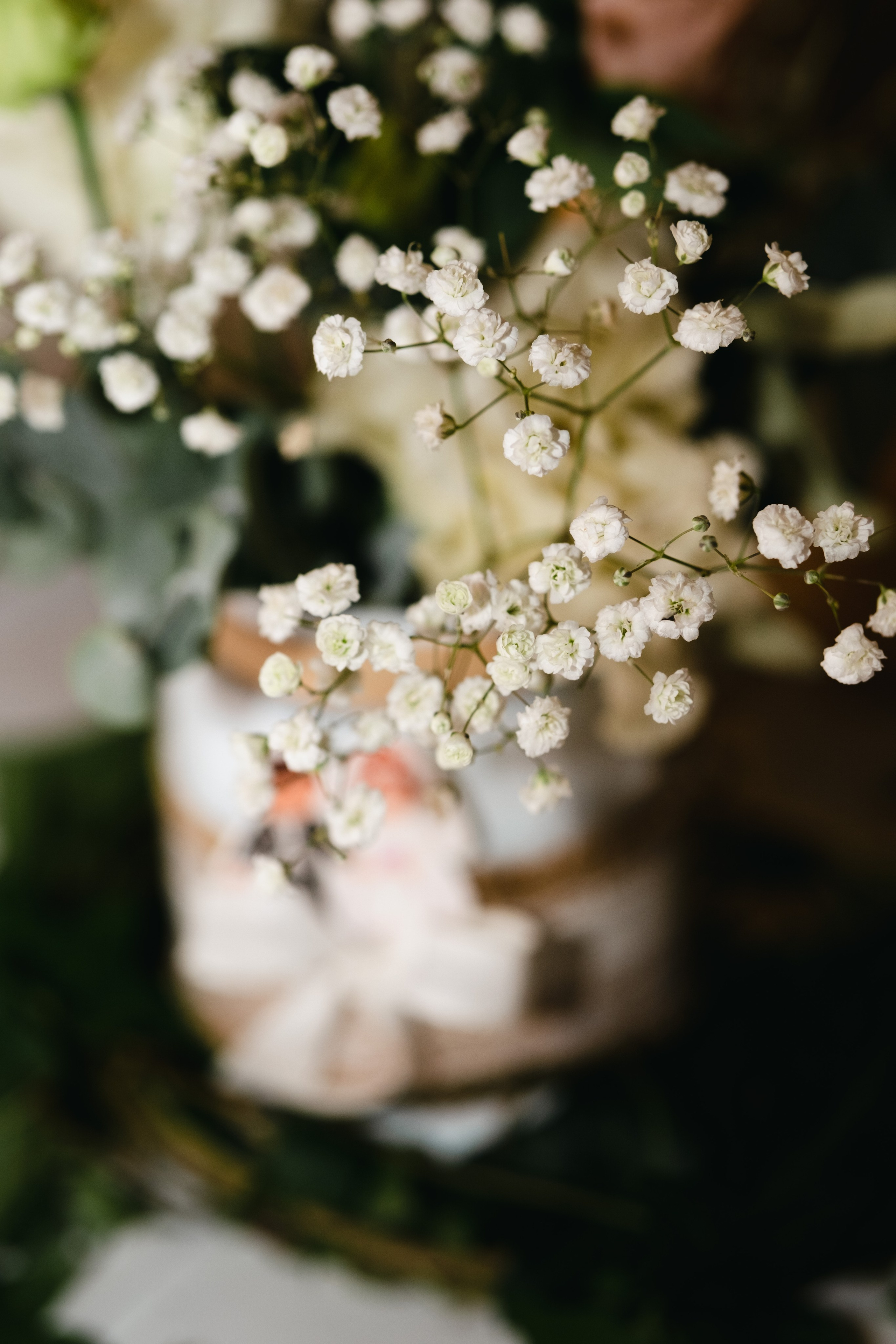 S&V. Grosu Photography