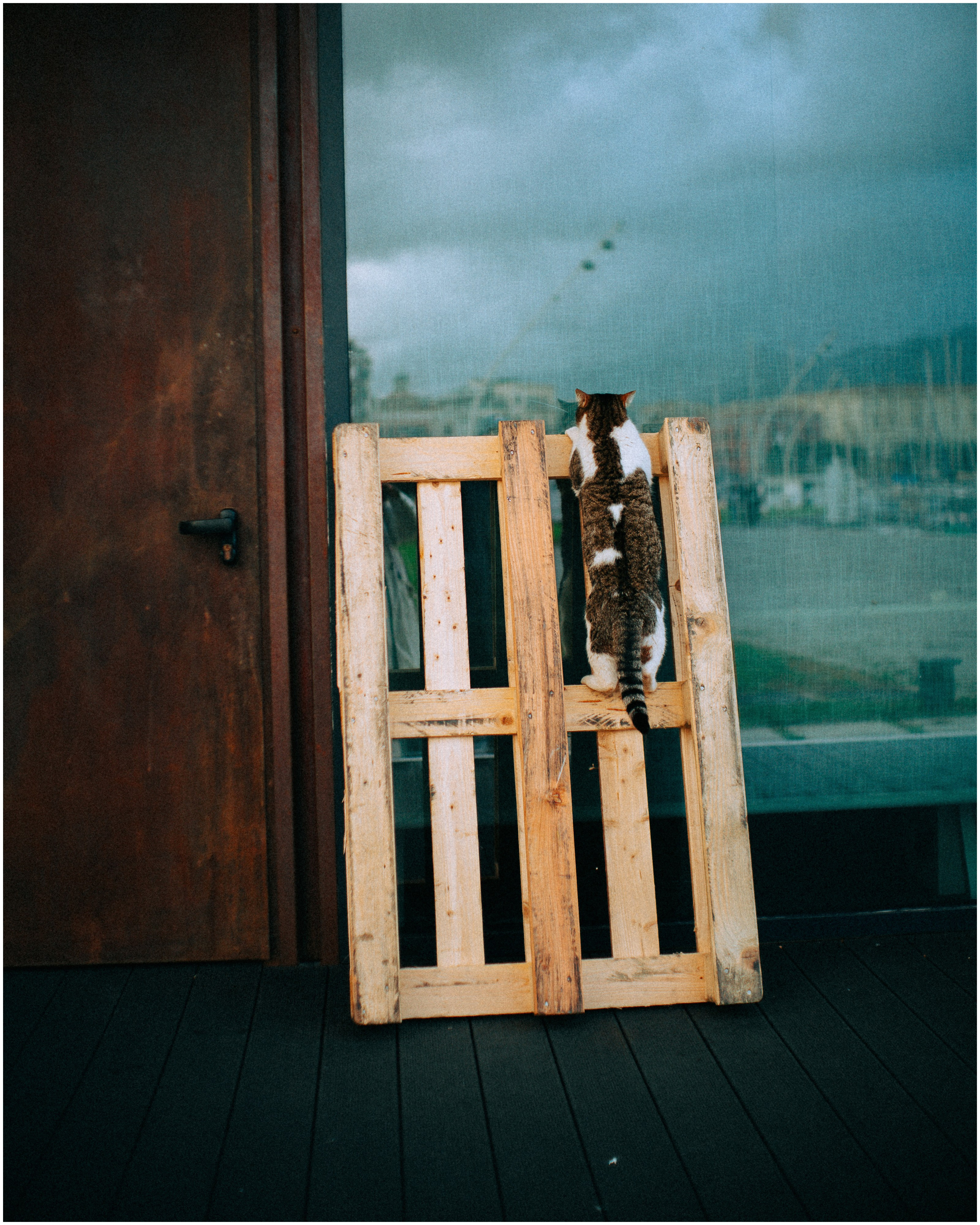 PALERMO. Photographer Inna Mendelson