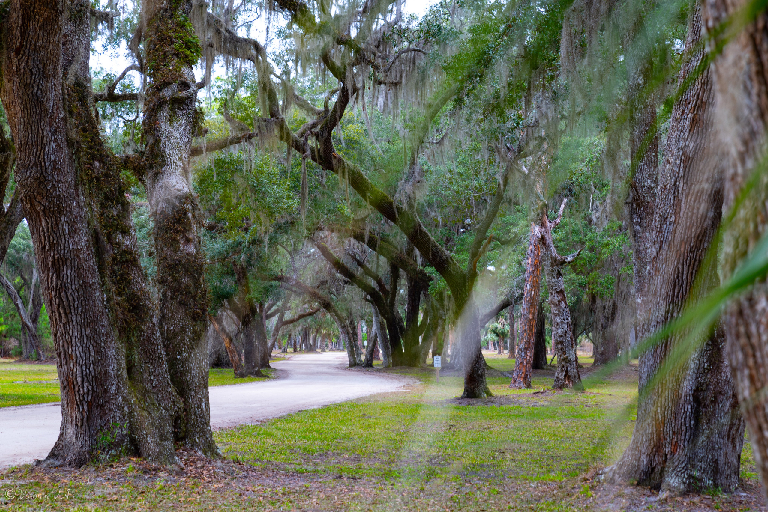 Landscapes of st. Augustine. Photographer St. Augustine