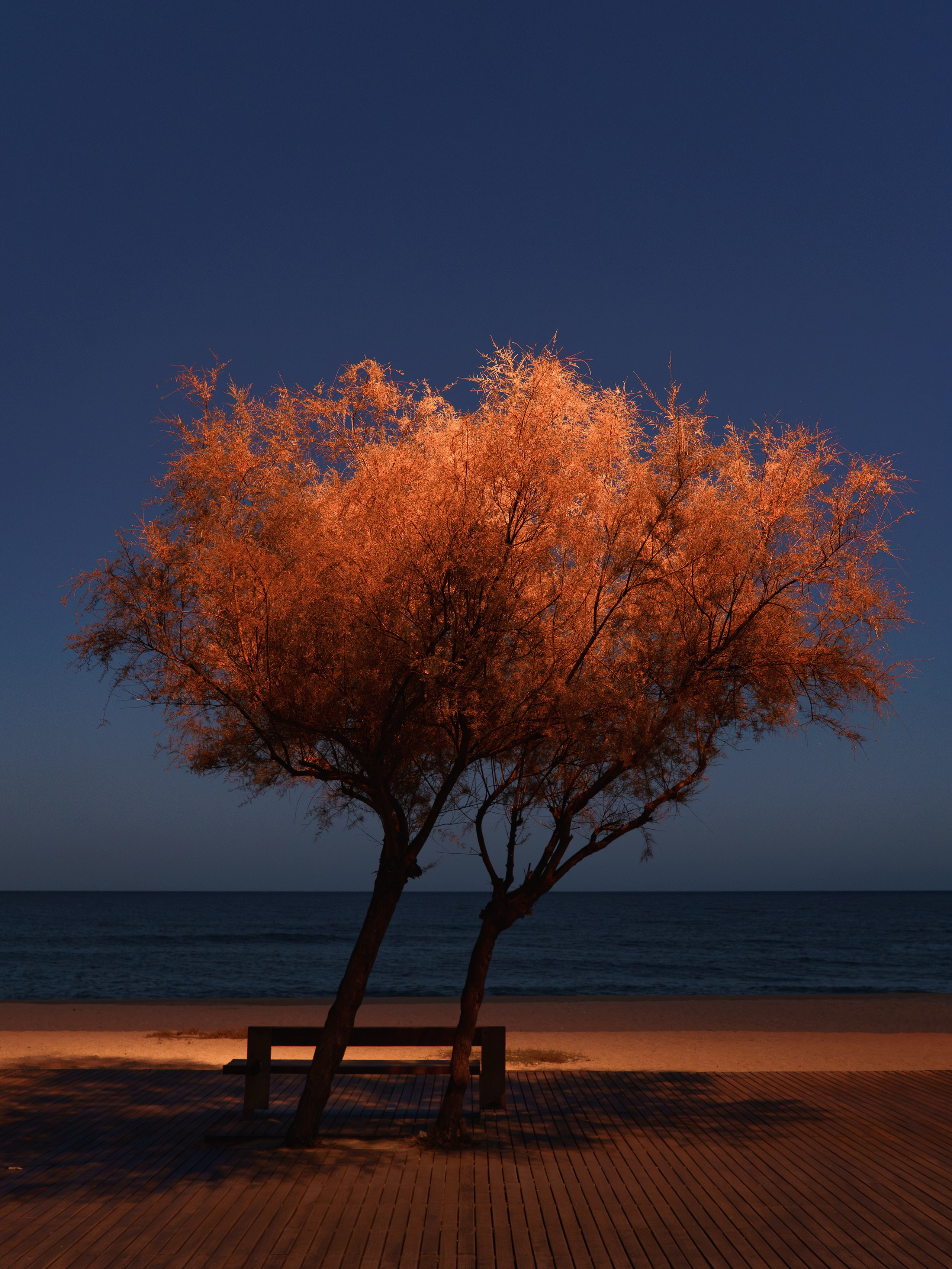 Galeria. Creador de contenido visual en Barcelona | Dima Kit