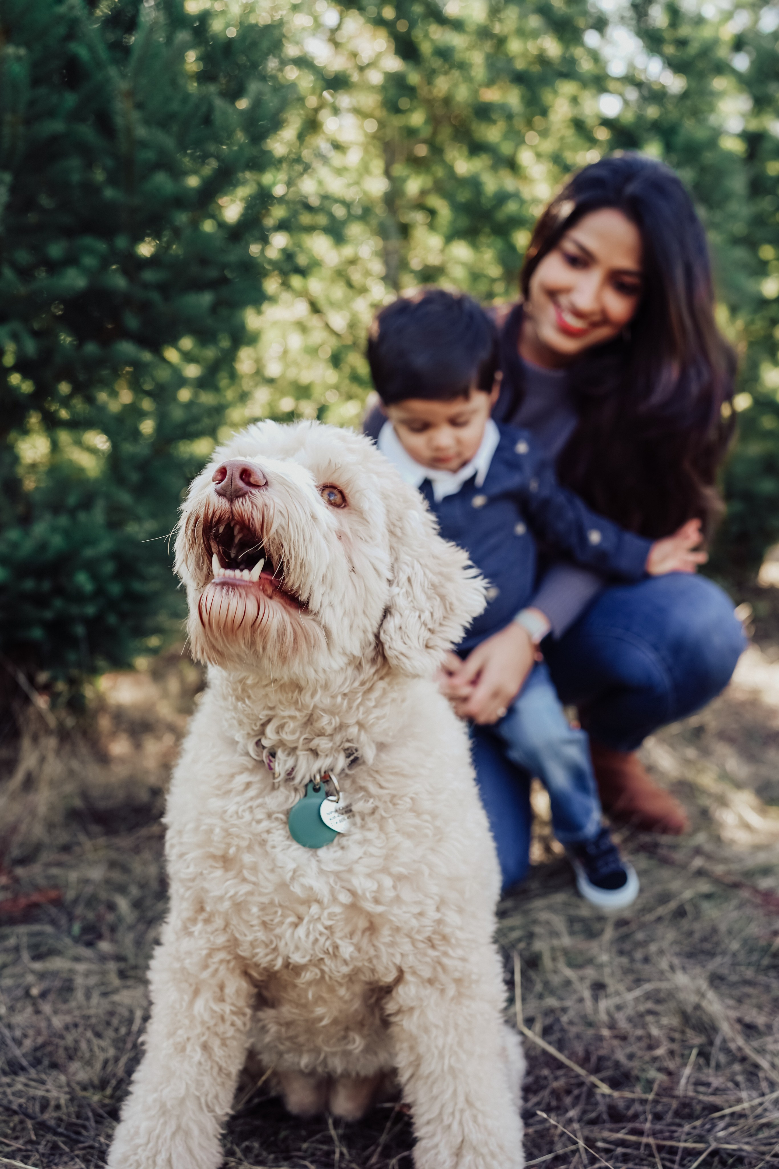 Family. Maternity, family and newborn photography in San Francisco Bay Area