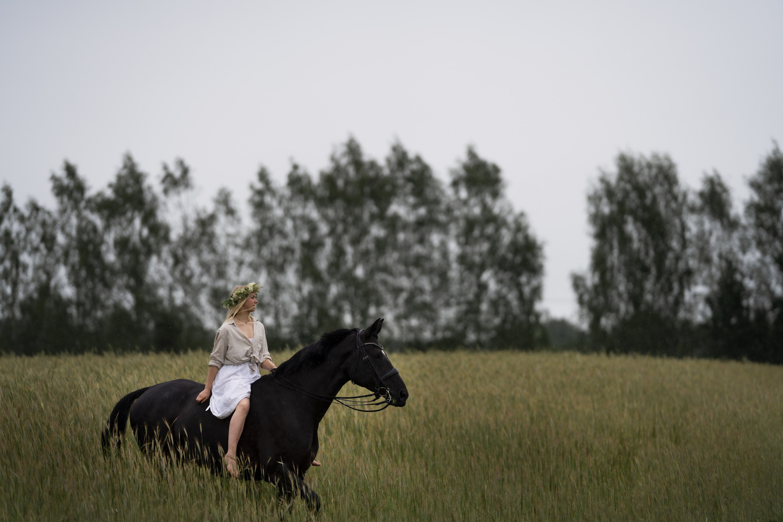 Horse Experience. Sports and portrait photographer in Riga