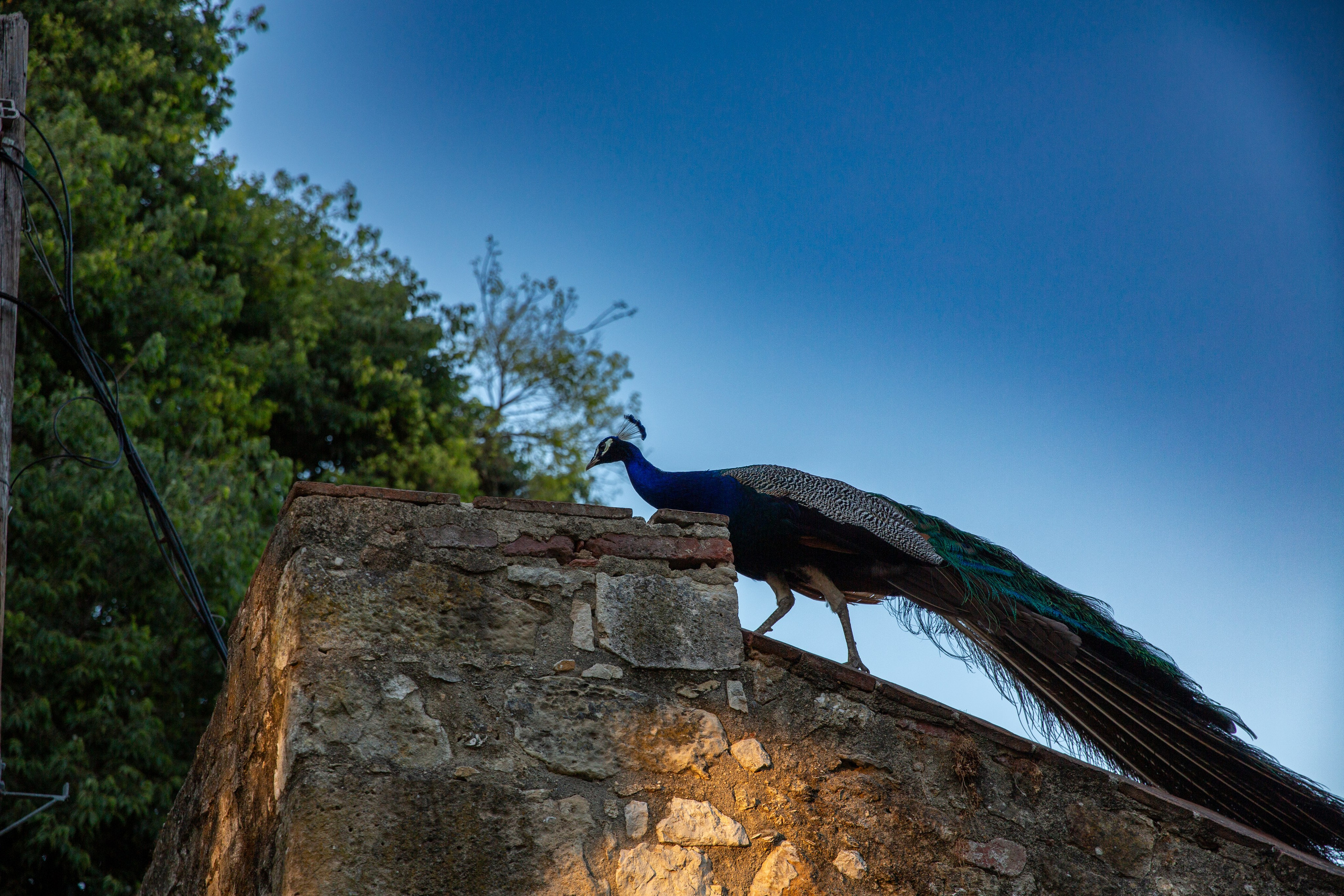 Paisagens. Thiago Chinellato