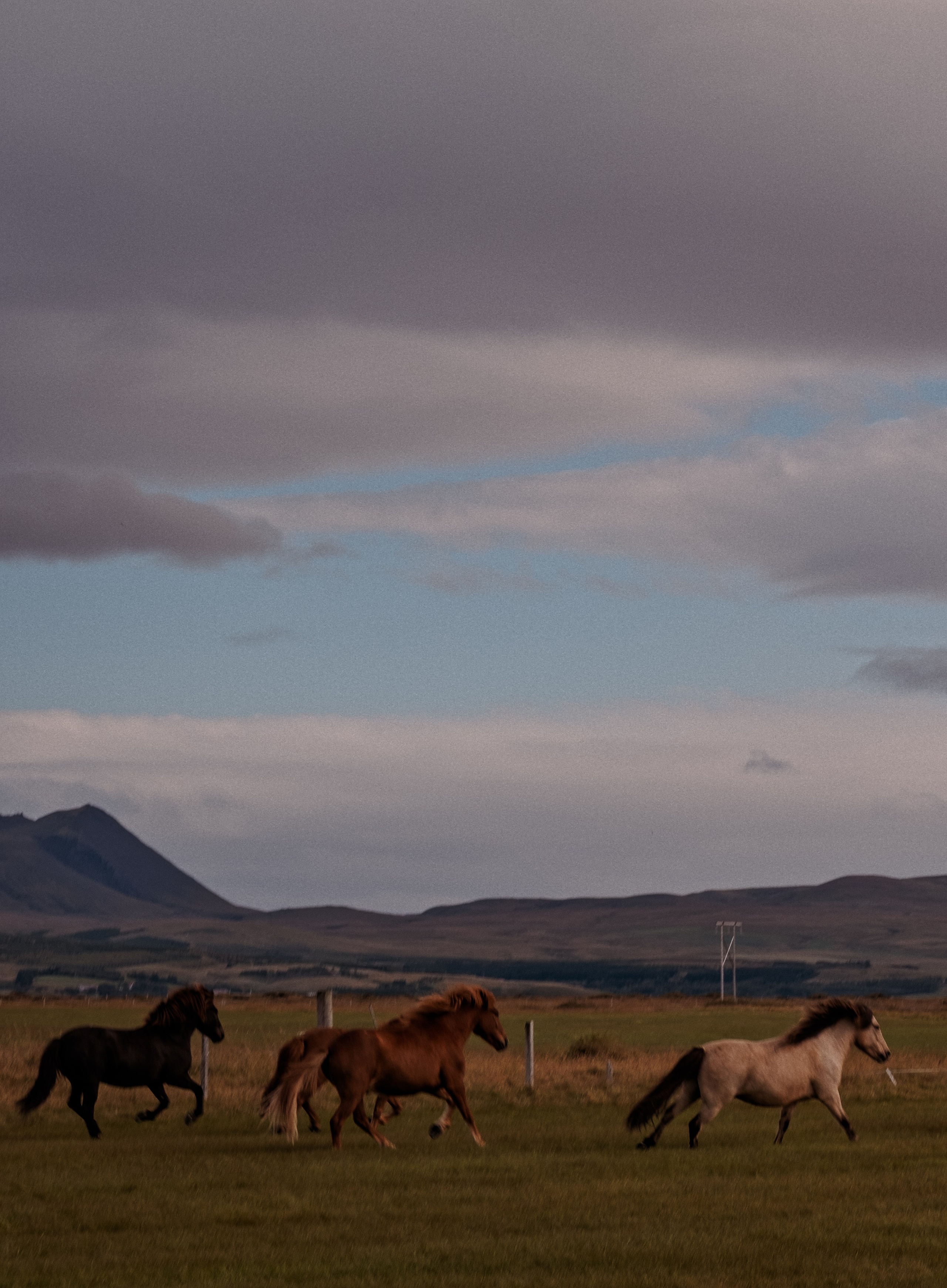 Iceland. Artjom Kutuzov Photography