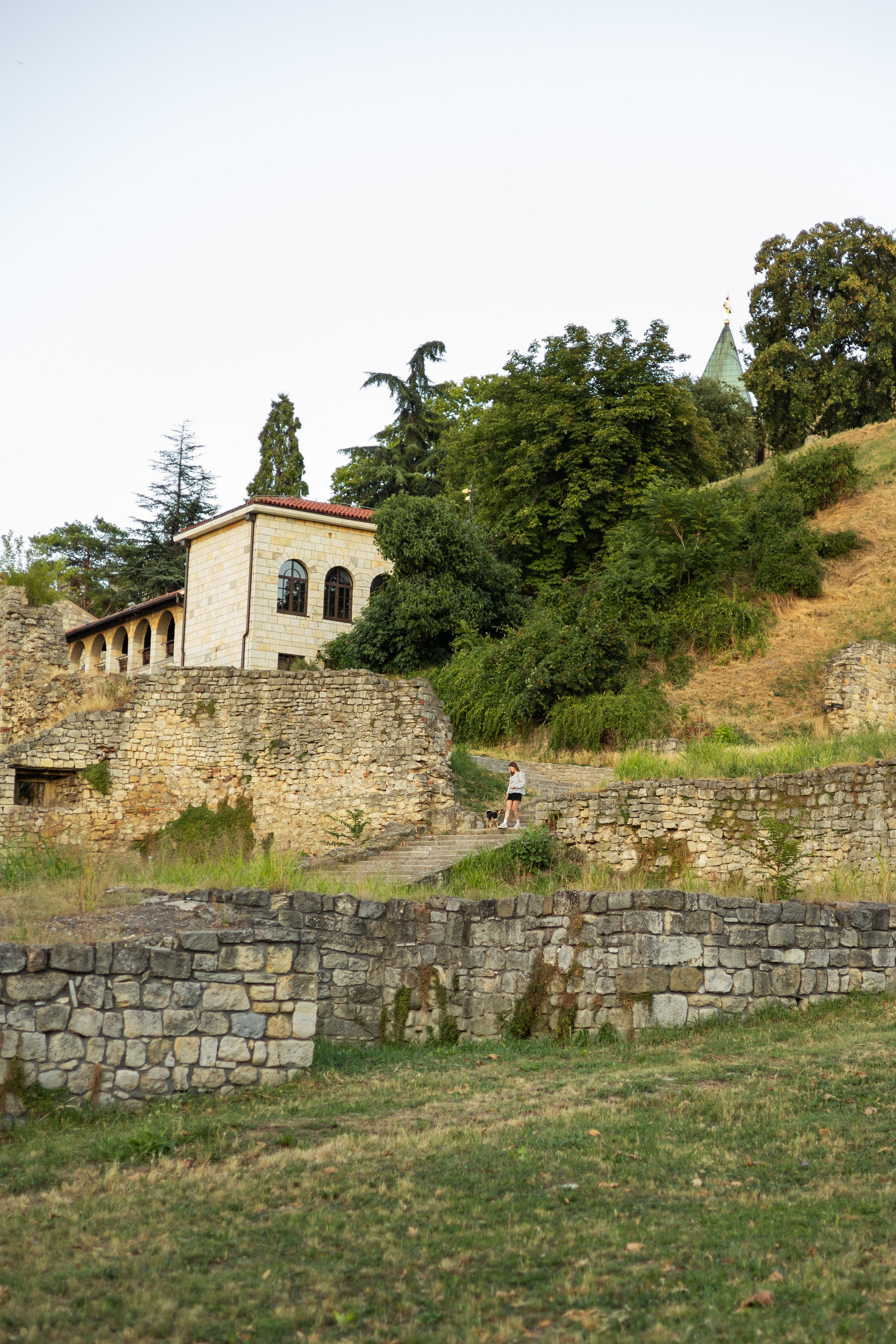 Настя, Денис и Мося. Фотограф-анималист | Белград