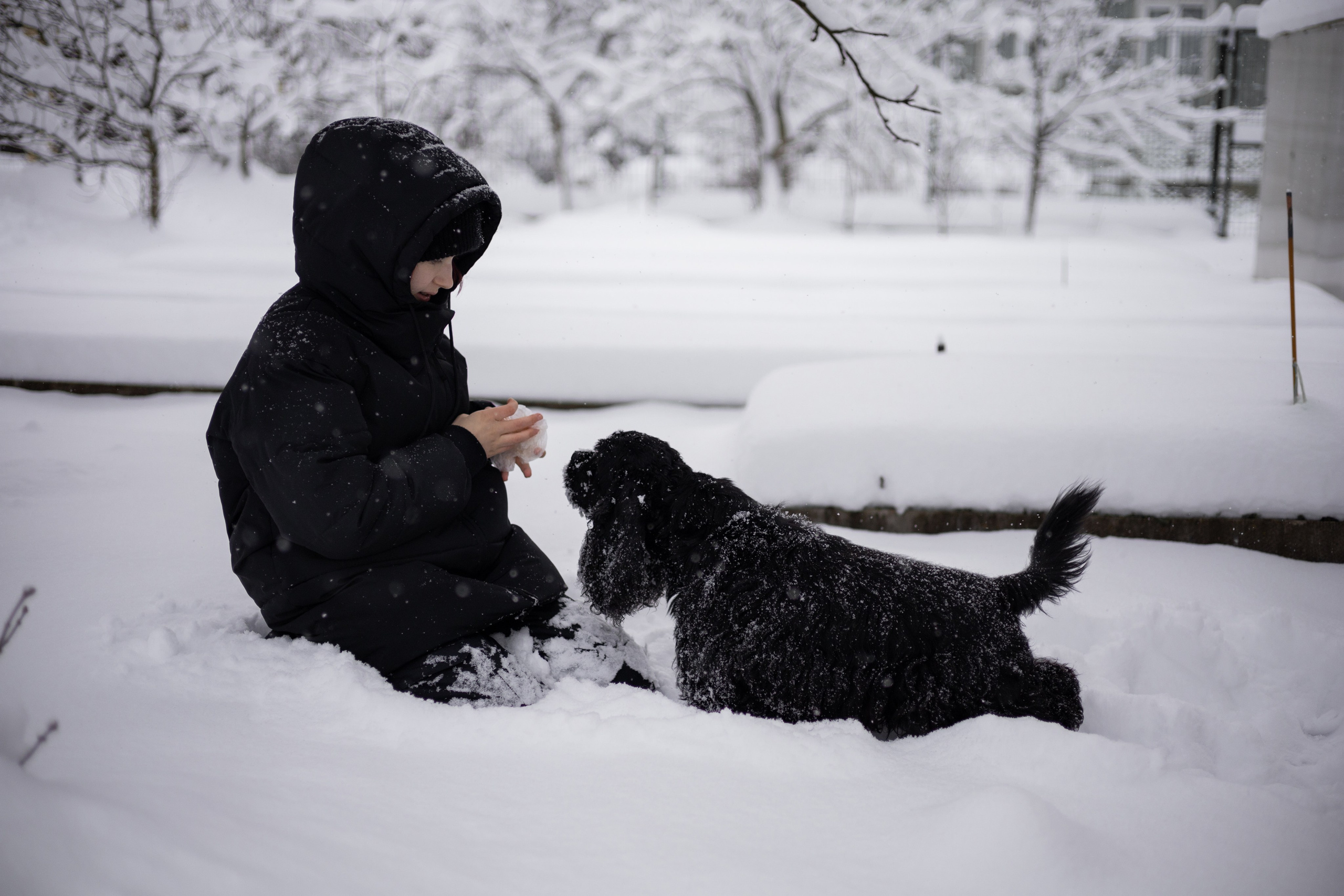 Кейт и Ен. Фотограф-анималист | Белград