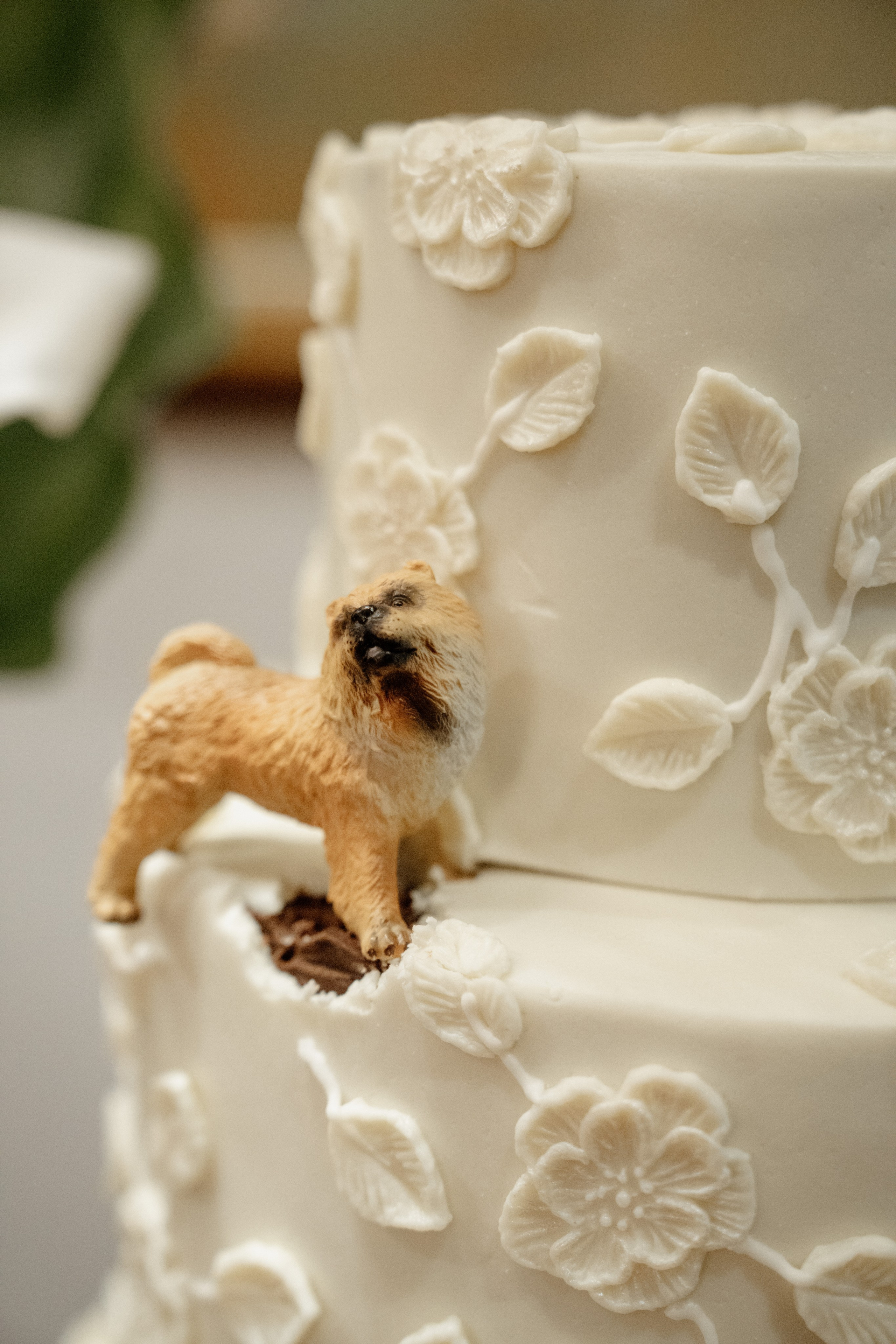 Clarice & Caio. Congiu Wedding