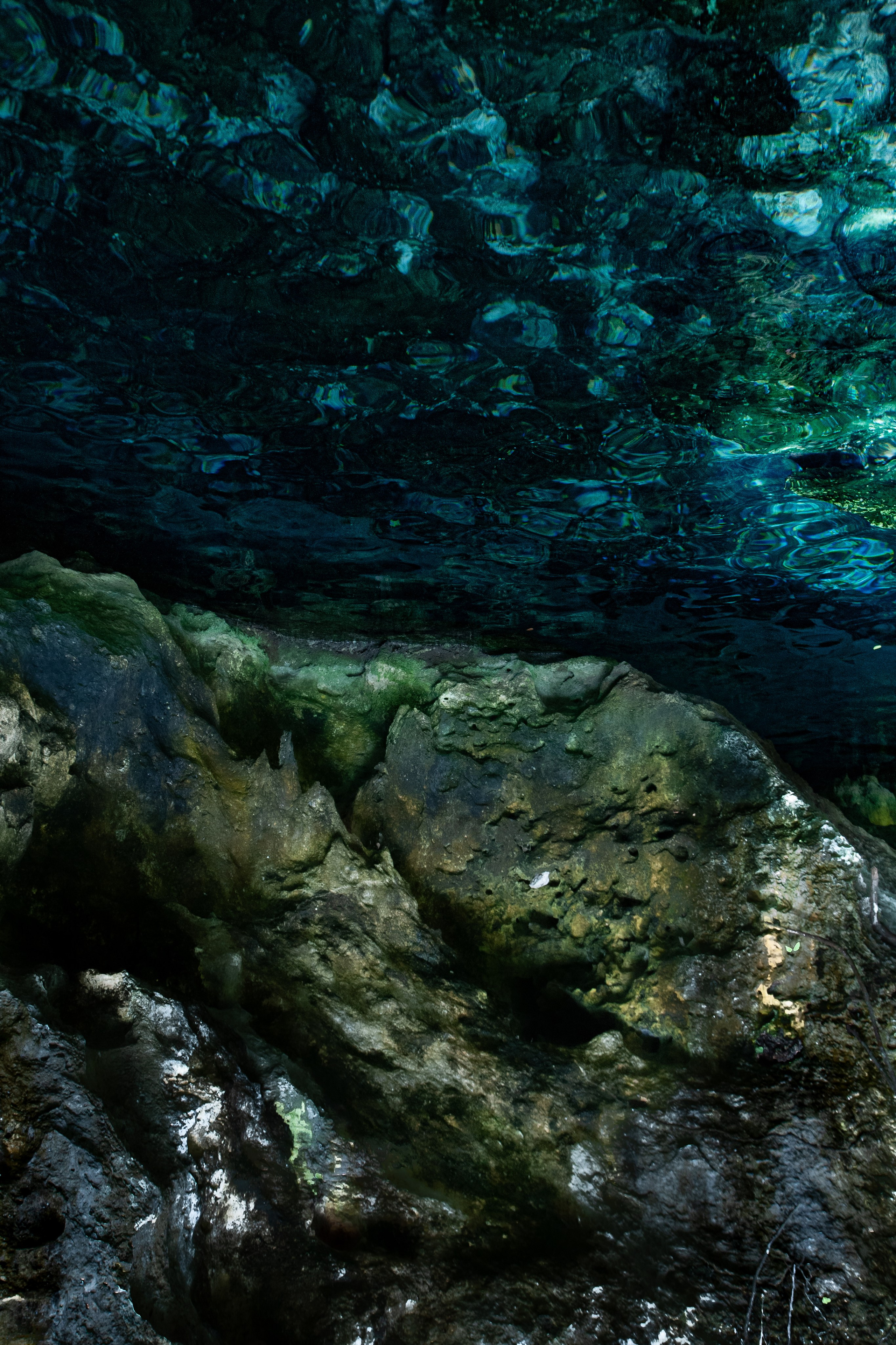 EXHIBITION. Lero Photographer and a set designer|individual custom portrait and advertising photography in Zutphen