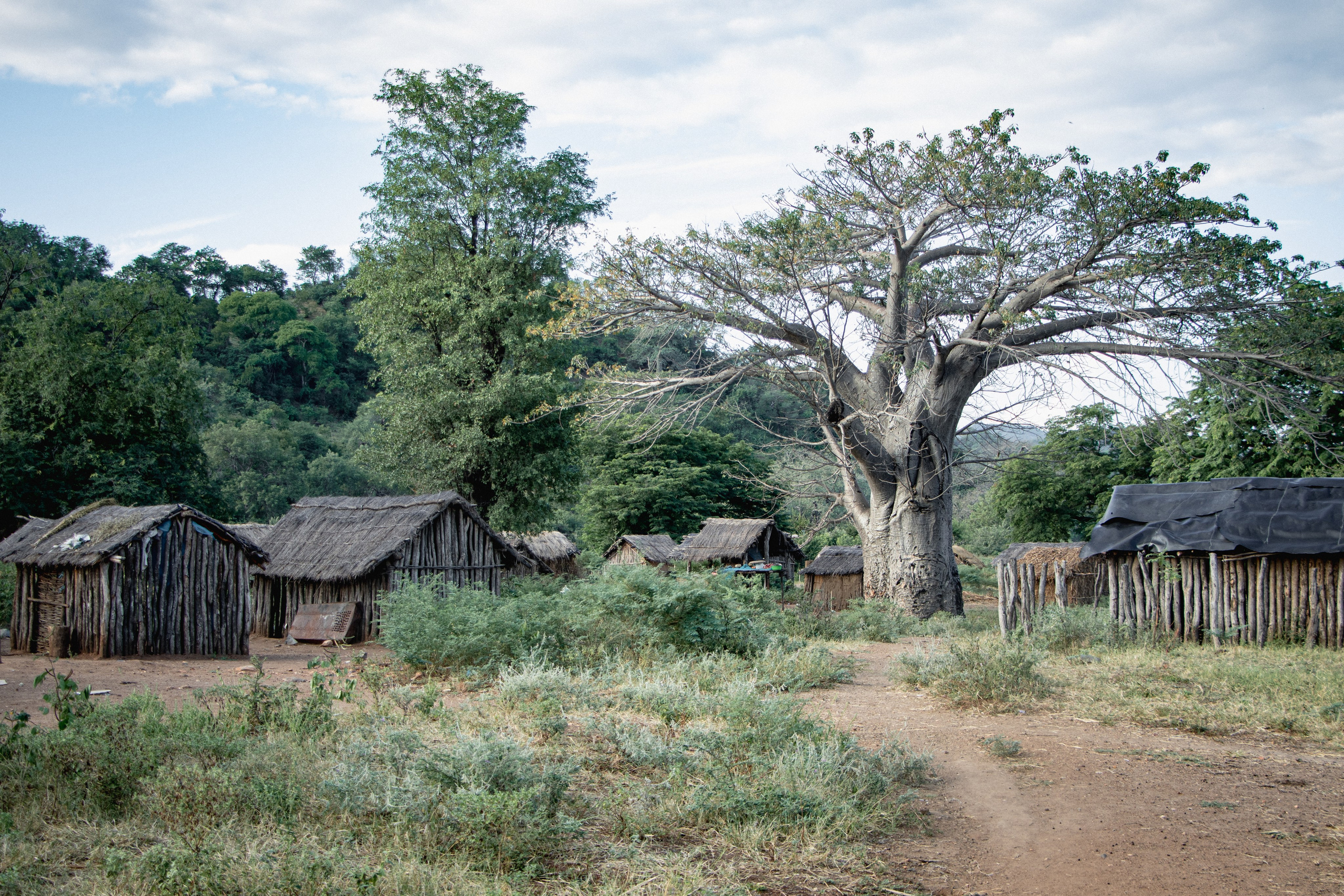 Dans le village de Chirodzi, l’agriculture et l’accès au fleuve Zambèze sont vitaux pour les habitants. Le projet du méga-barrage Mphanda Nkuwa, en relogeant les populations loin de leurs terres, menace d’enterrer leurs traditions, leur culture et leurs moyens de subsistance.
