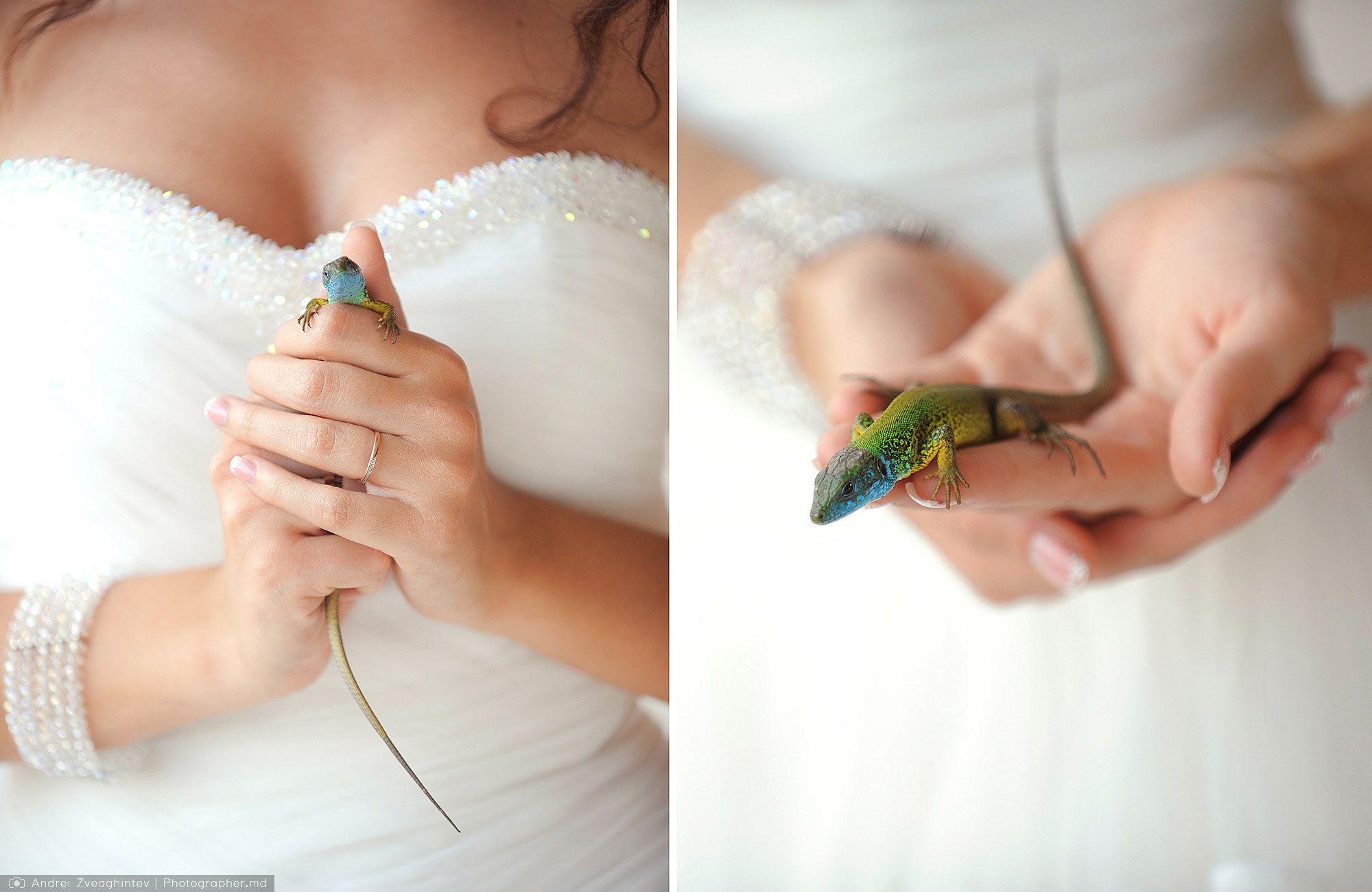 Индивидуальный курс свадебного фотографа в Молдове