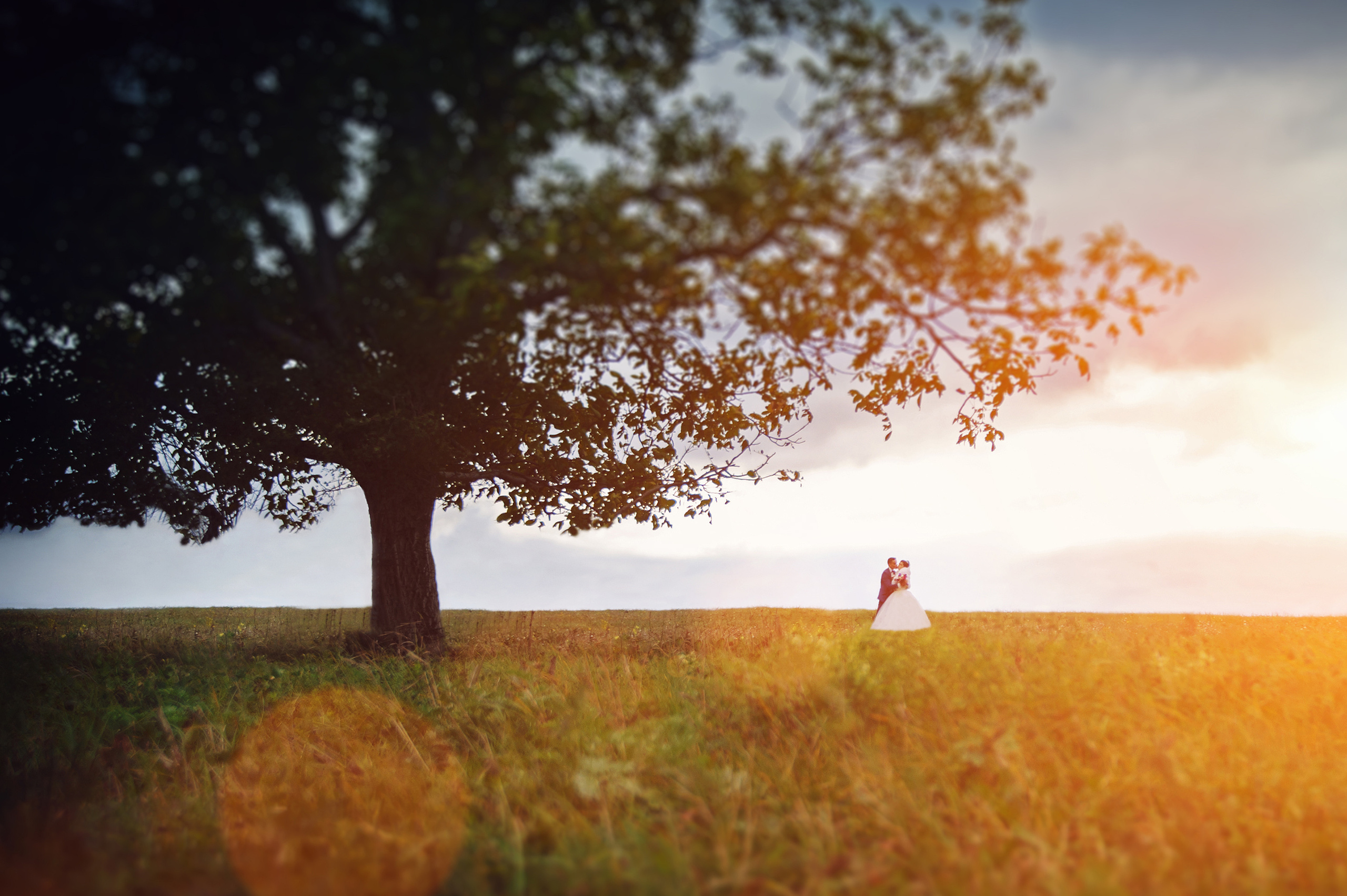 Индивидуальный курс свадебного фотографа в Молдове