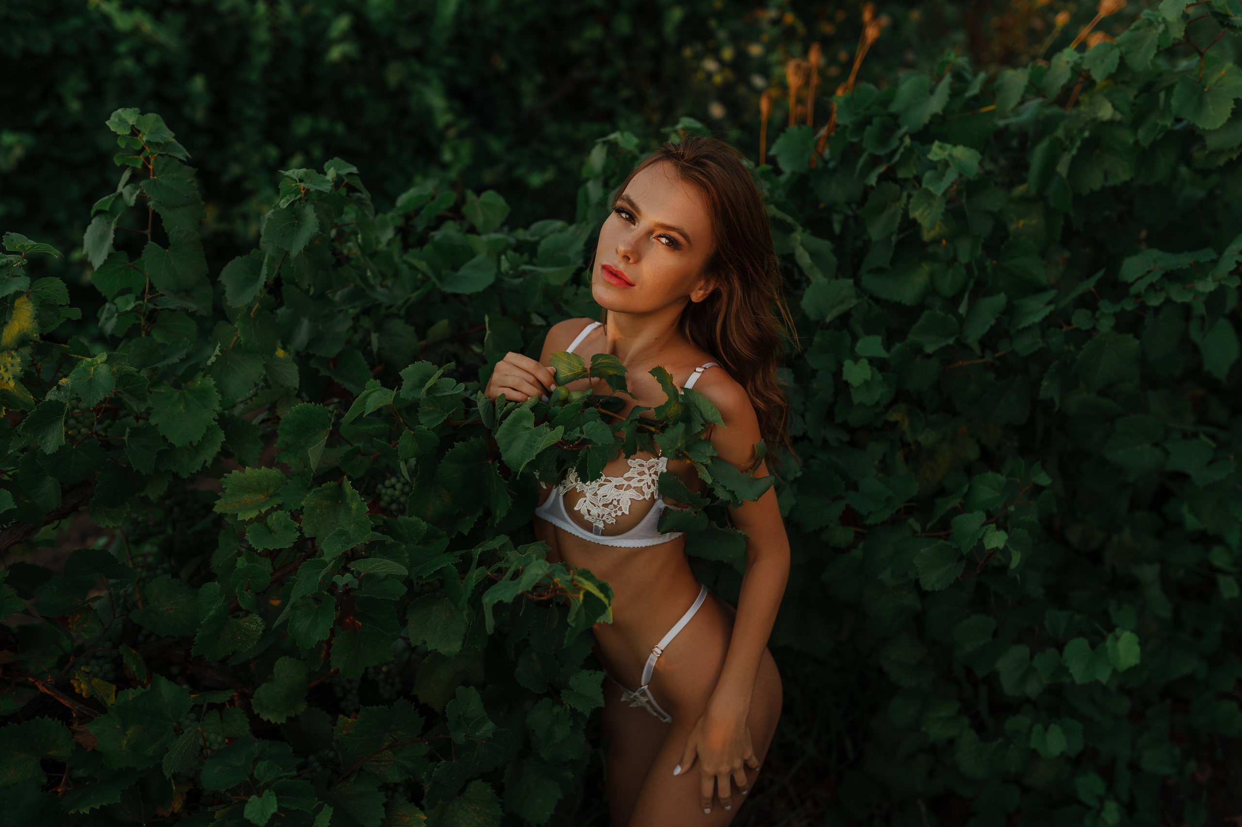 Grape Tenderness. The model in white lace lingerie enjoys the freshness of grapes among the vines. The soft light adds tenderness and warmth to the photo. Book portrait shoots with the best photographer in Miami and South Florida. Vineyard, portrait shoot, Miami photographer, South Florida, lace lingerie
