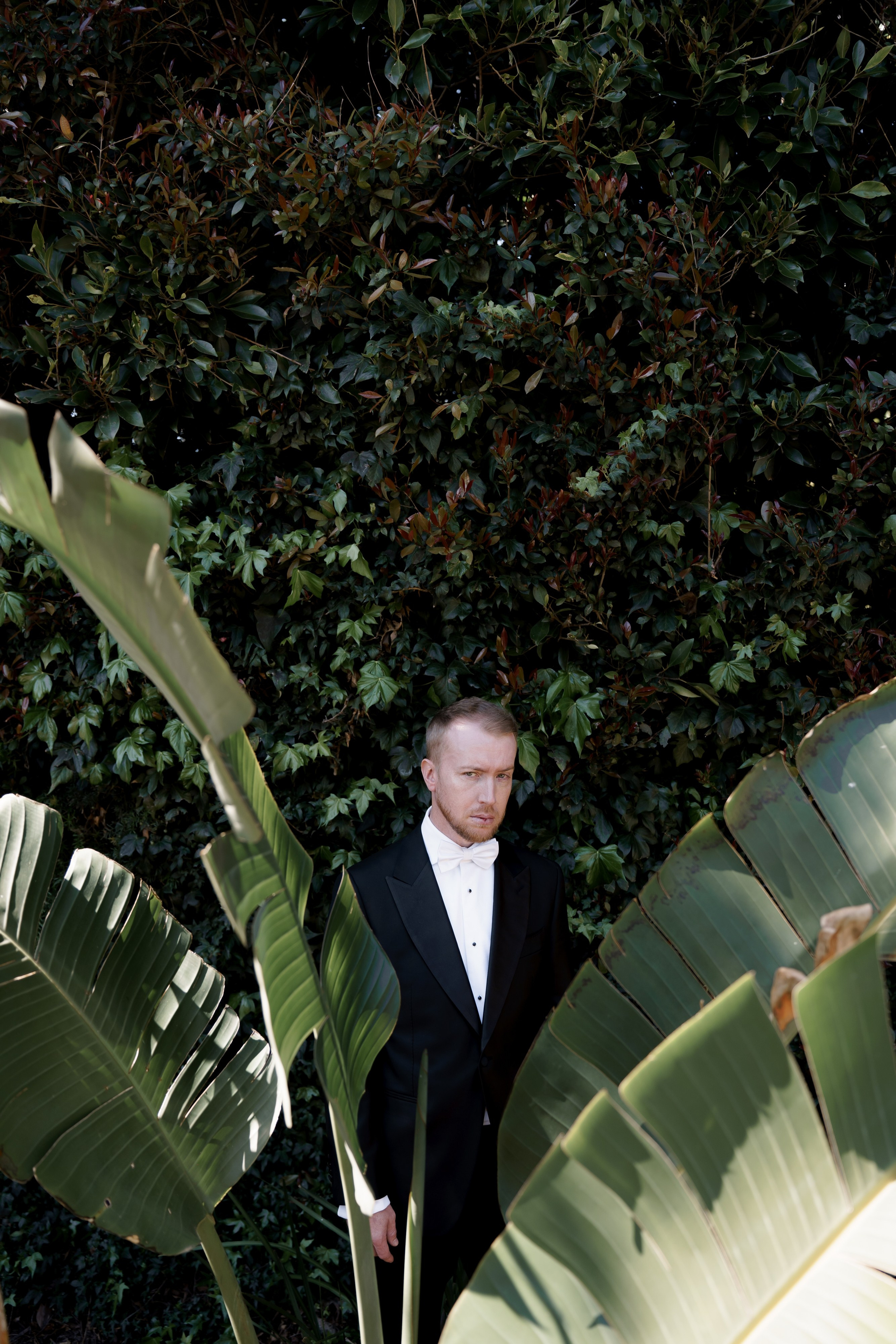 Willow & Anthony. Wedding Photography & Videography San Francisco, Sacramento