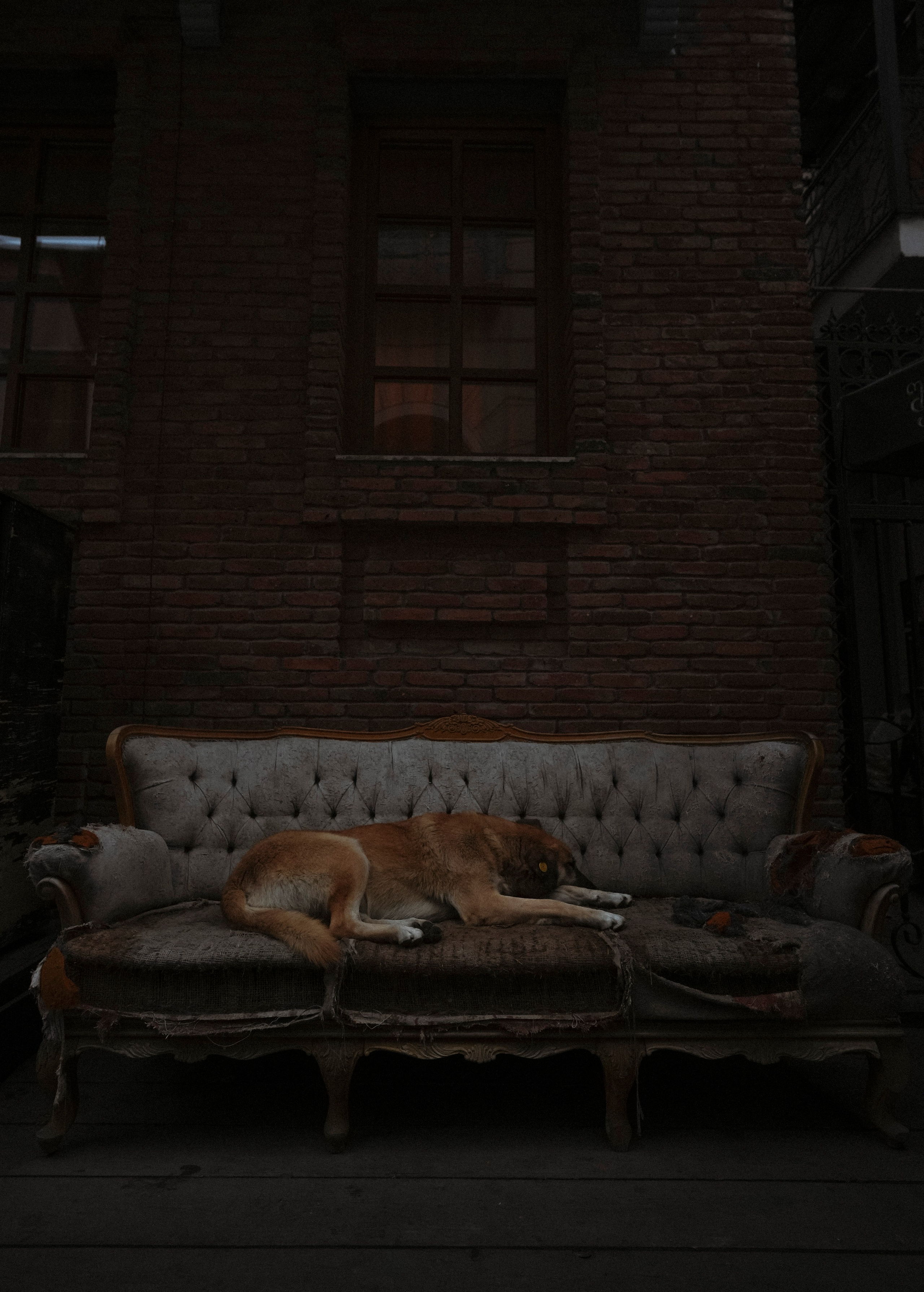 ТБИЛИСИ 2023-2024. Стрит-фотография, полная абсурда, идиотизма и красоты