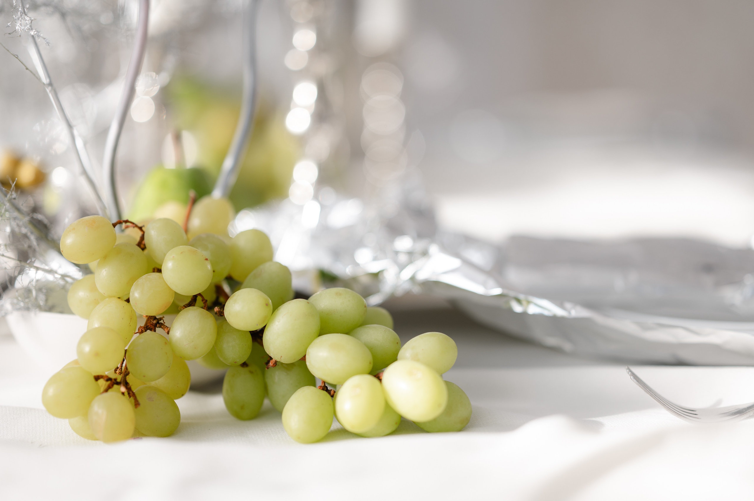 Bride with a concept silver Chrome. Alexandra Hanu Photographer