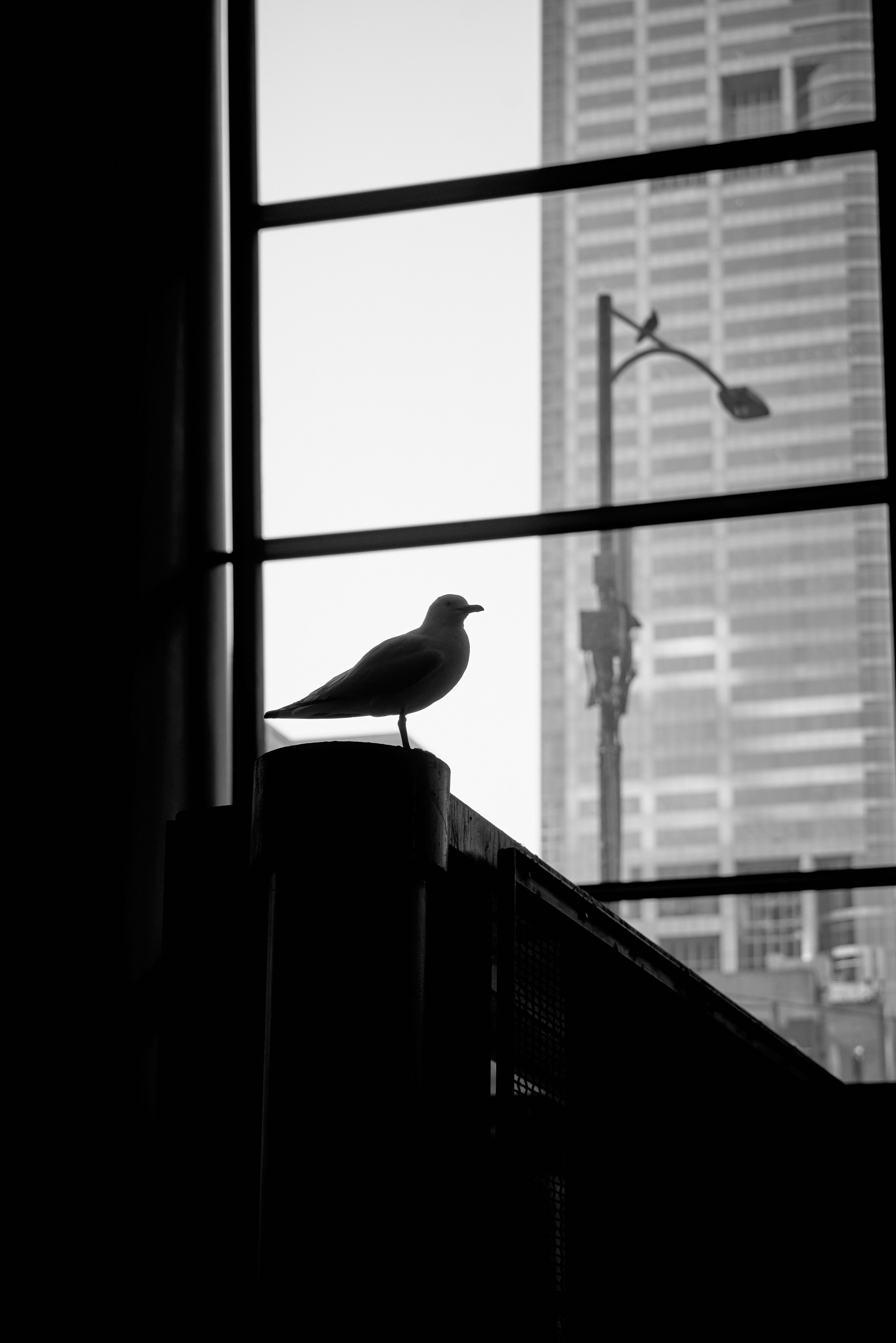 Melbourne Street Photography 2025. CARTER BNW