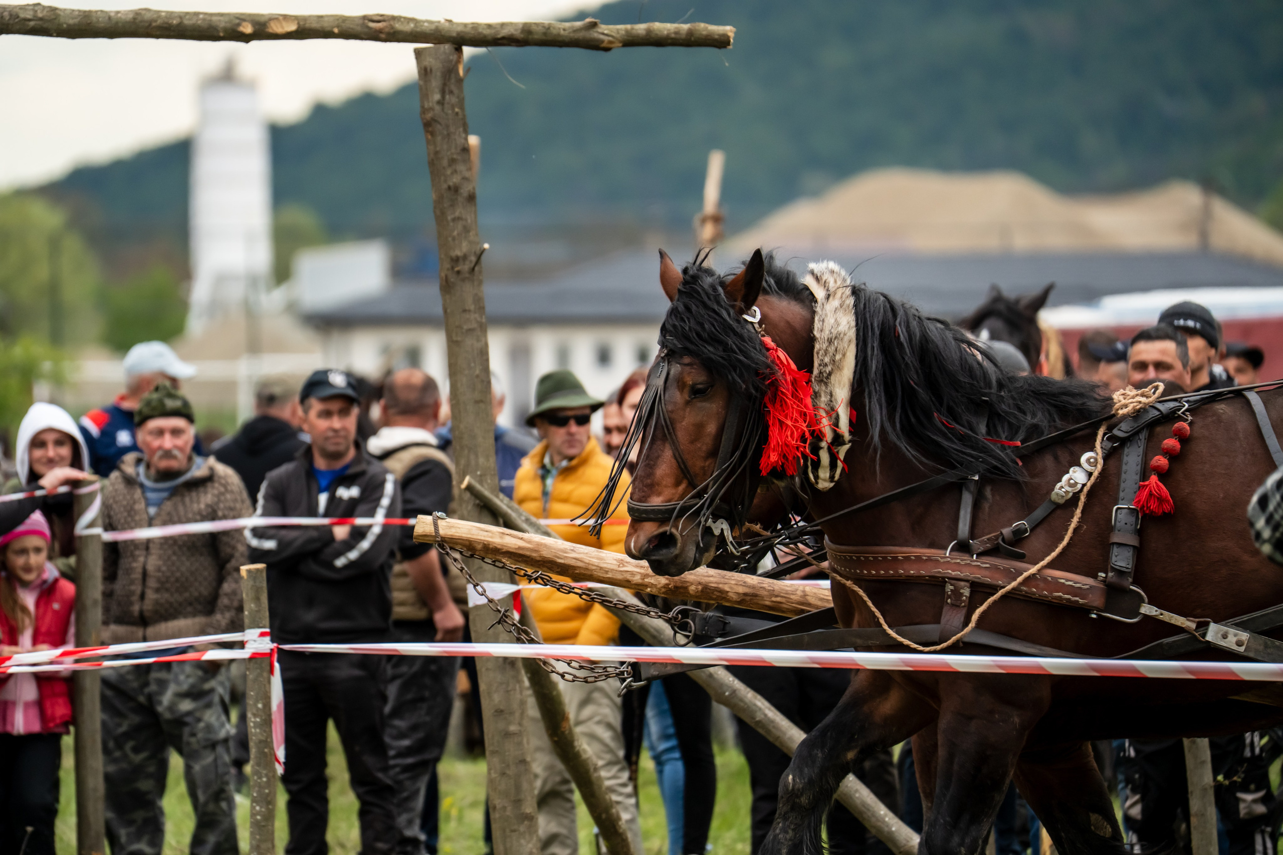 Concurs Ecvestru Vărbilău ediția a 4-a. Mihai Alexandra Events