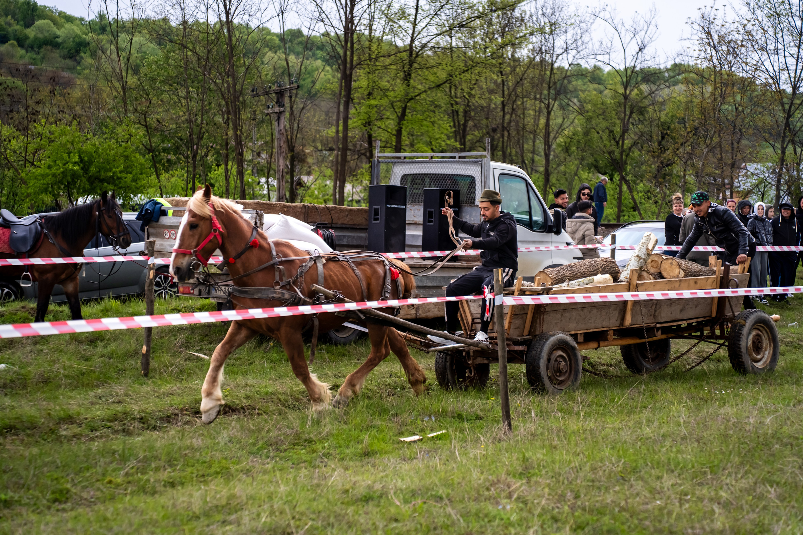 Concurs Ecvestru Vărbilău ediția a 4-a. Mihai Alexandra Events