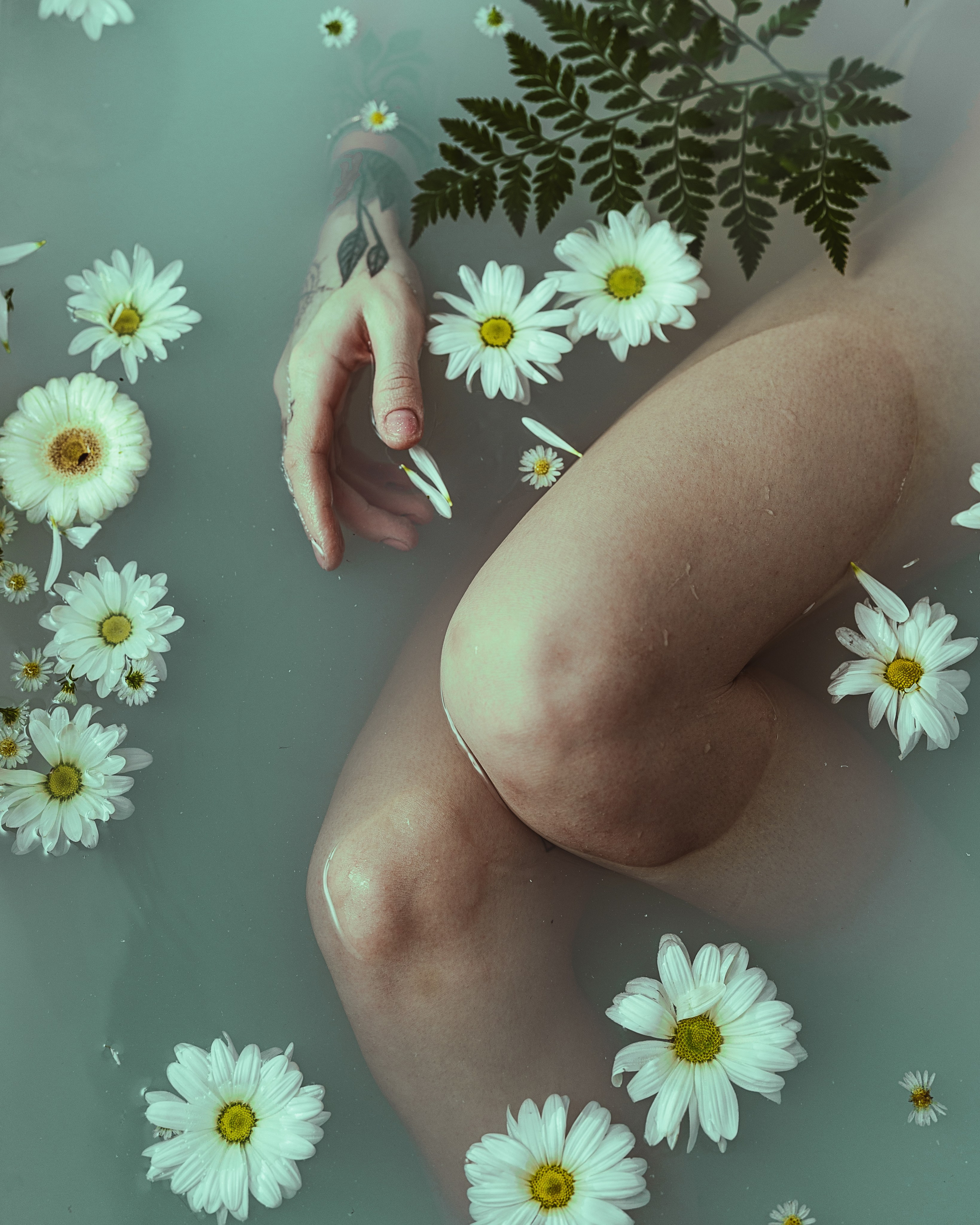 Christina: Depth is not always about the eyes, sometimes it’s about the feeling…. MY Photography