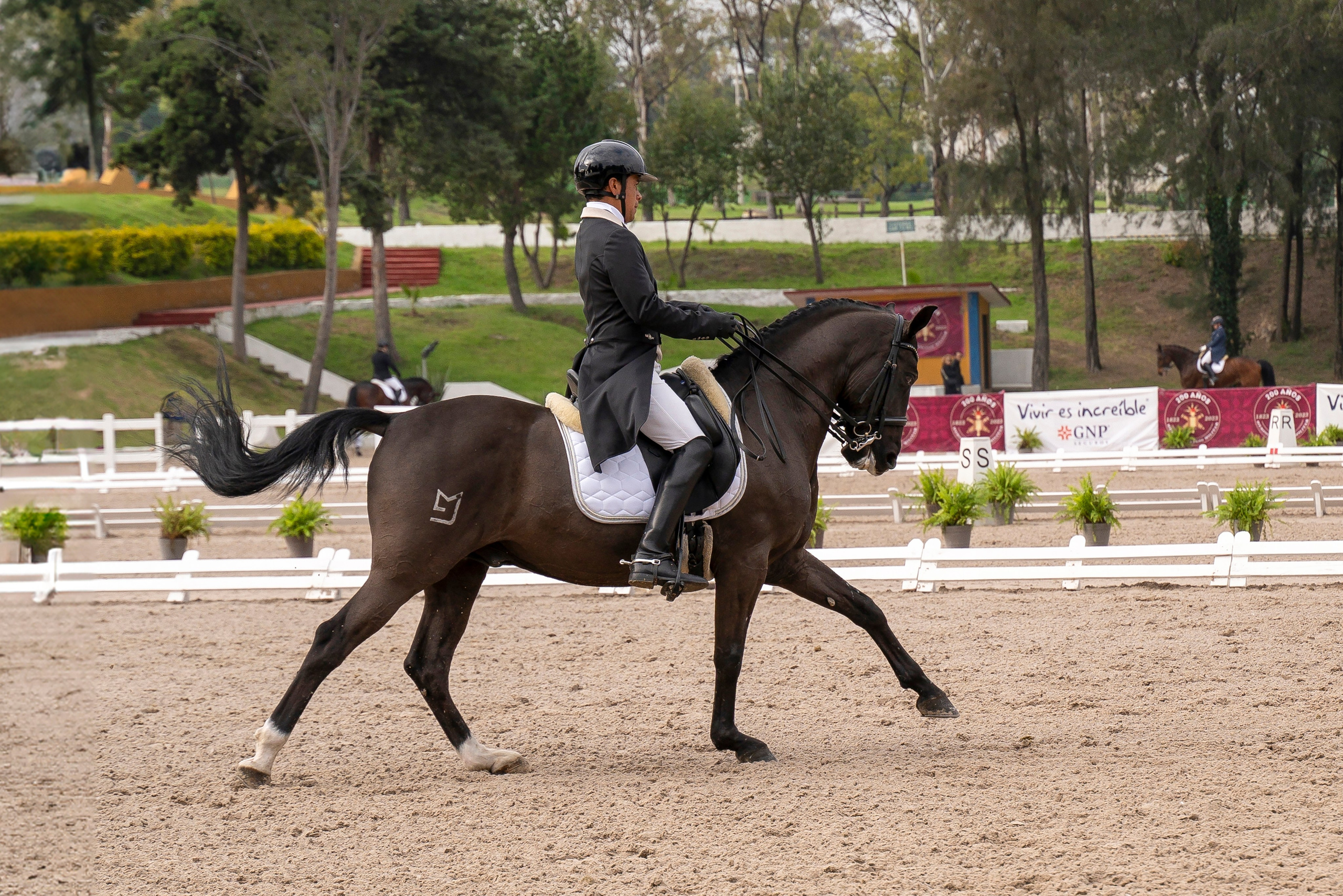 Sport events. Catrina Frolova photography